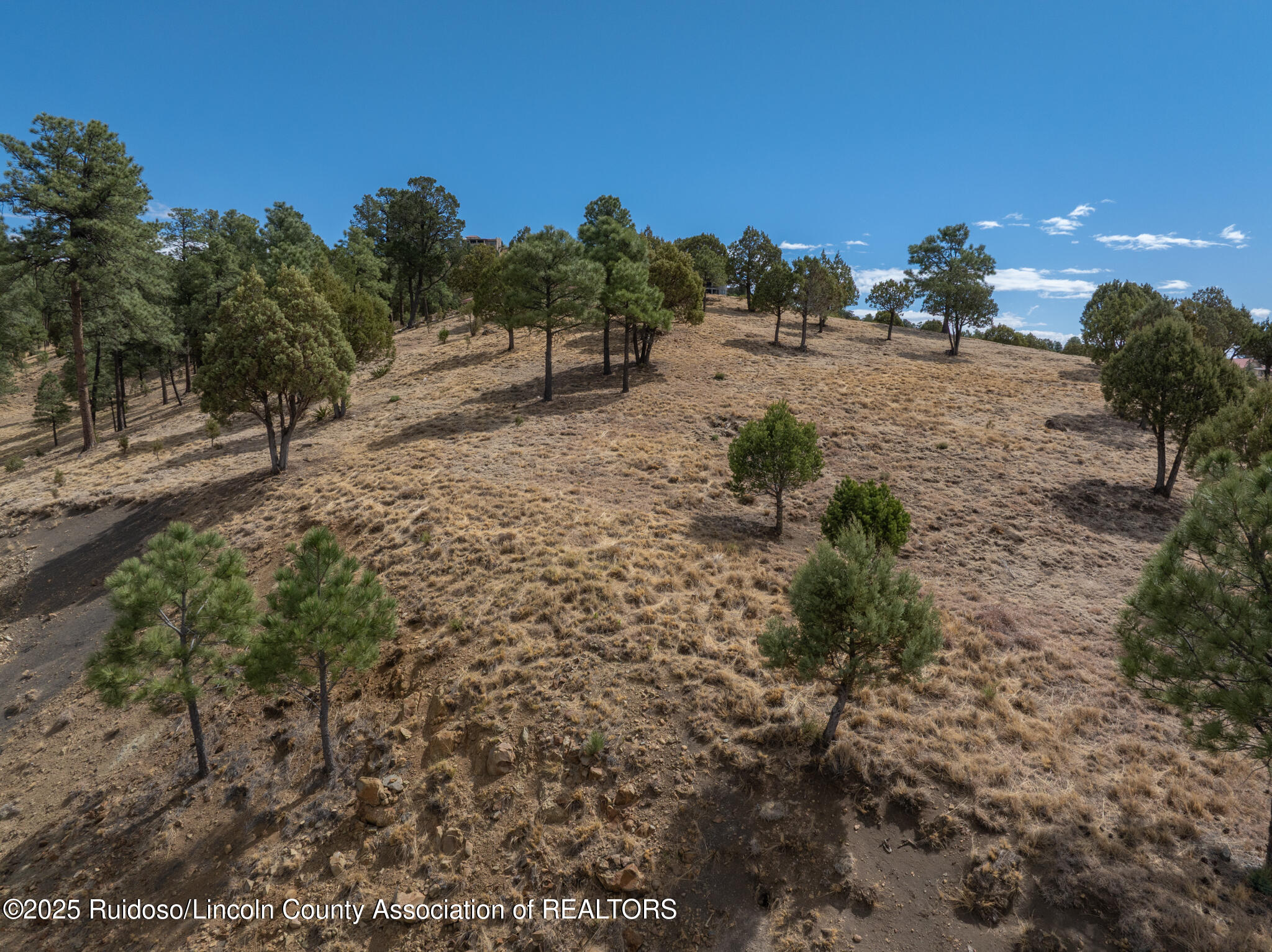 105 Milagro Hills Court, Ruidoso, New Mexico image 8