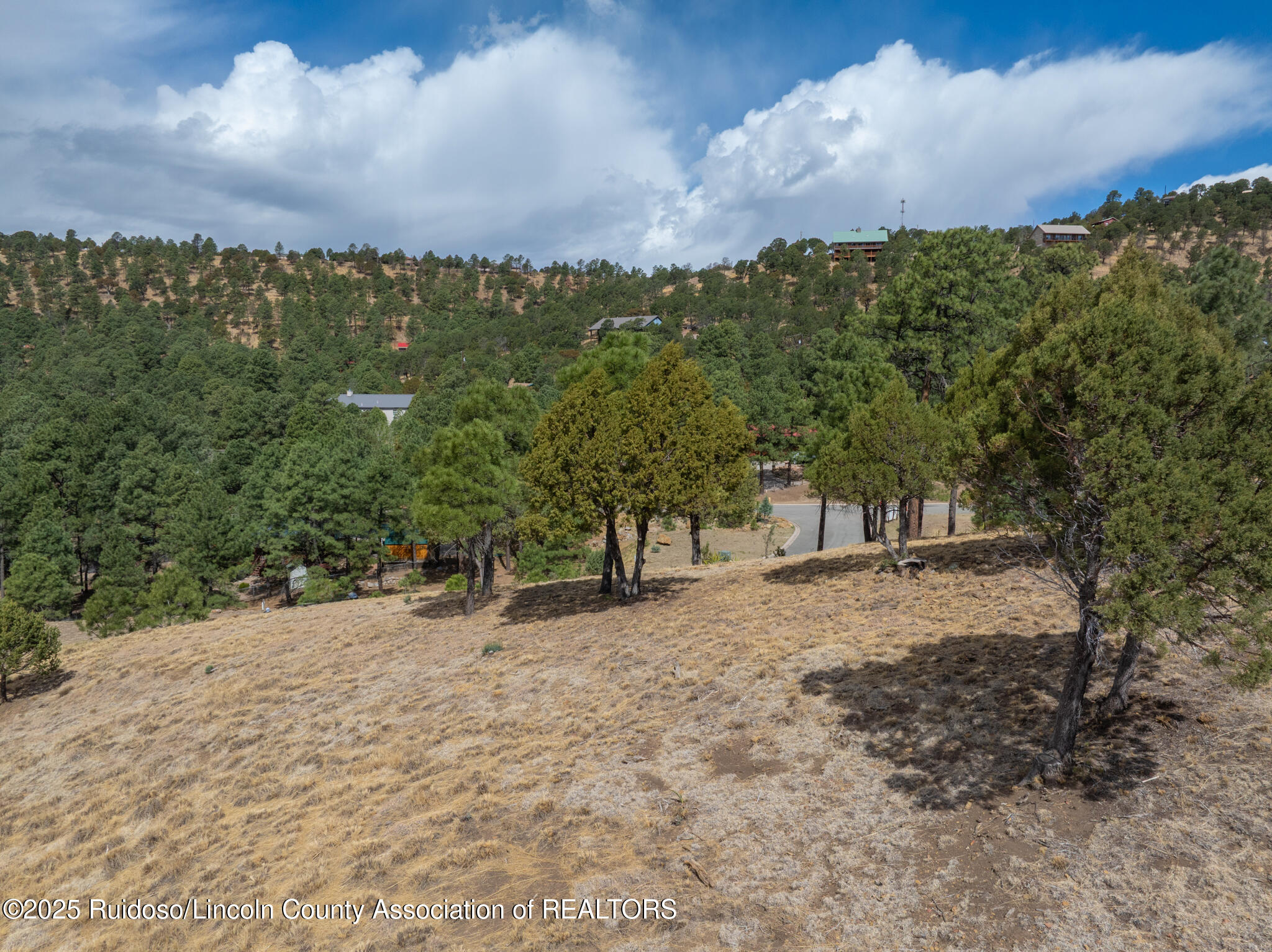 105 Milagro Hills Court, Ruidoso, New Mexico image 7
