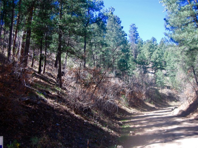 211 Camelot Drive, Ruidoso, New Mexico image 15