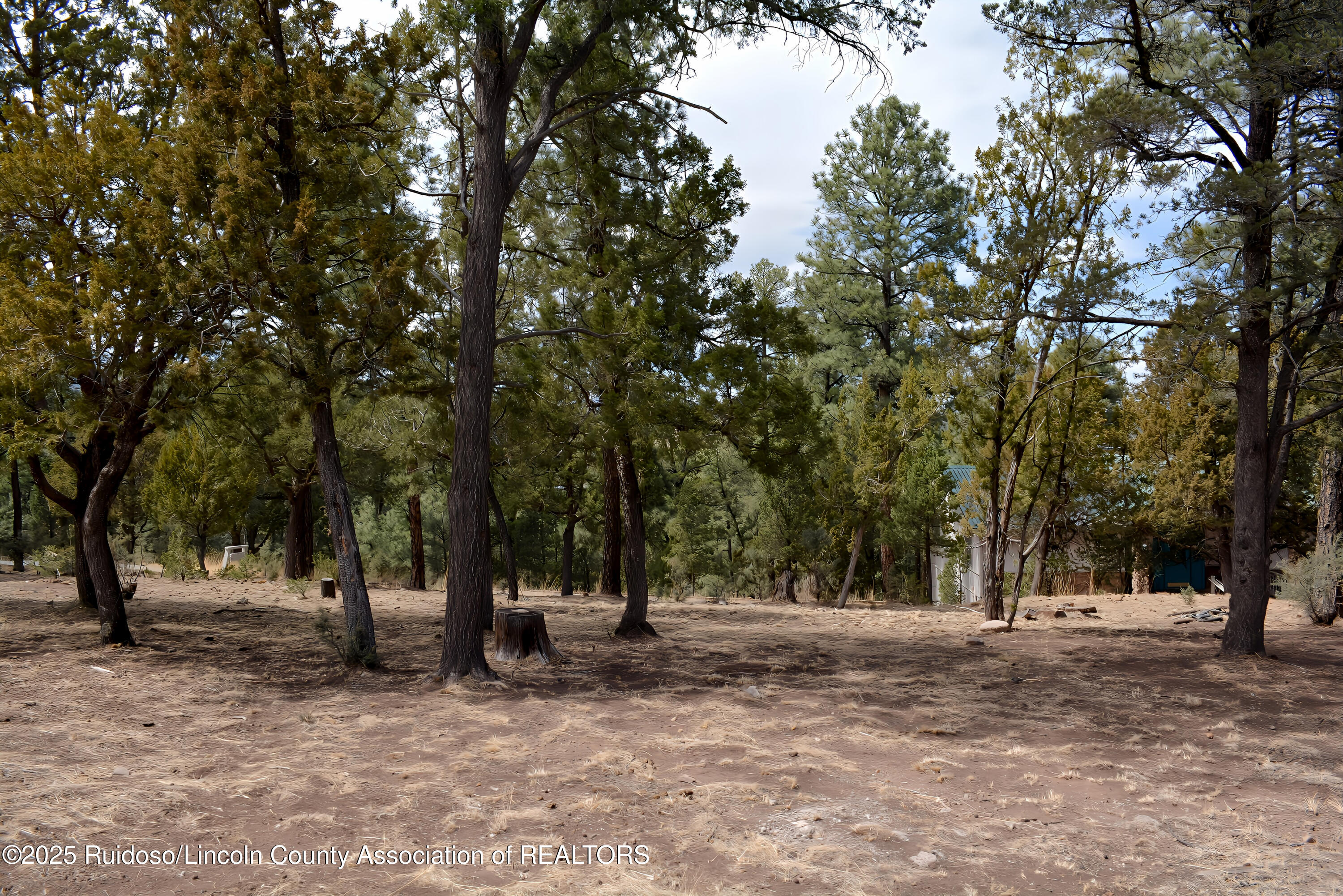 Lot 91 Deer Park Drive #3, Alto, New Mexico image 10