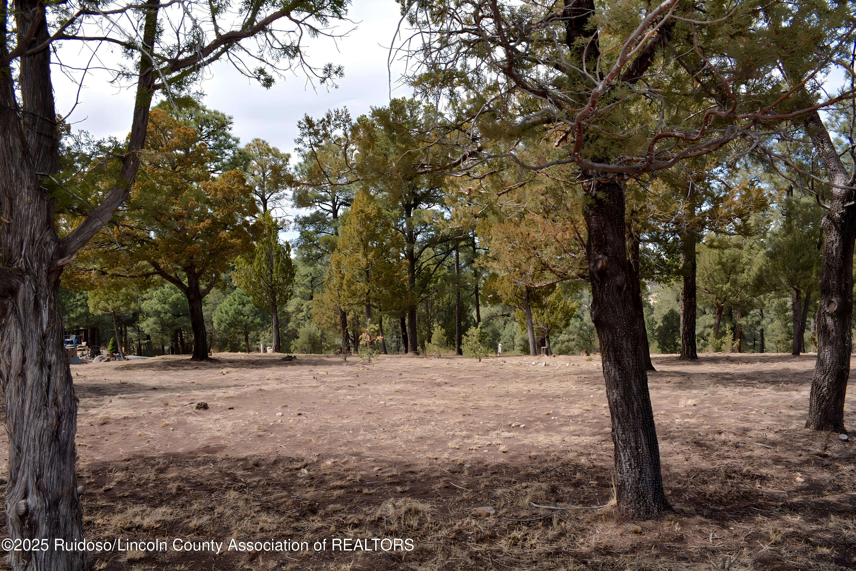 Lot 91 Deer Park Drive #3, Alto, New Mexico image 9