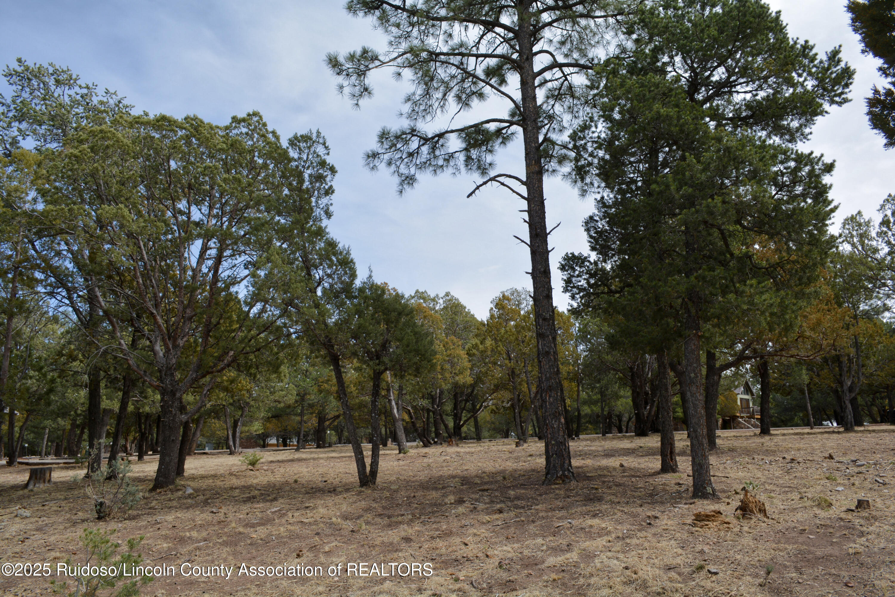 Lot 91 Deer Park Drive #3, Alto, New Mexico image 13