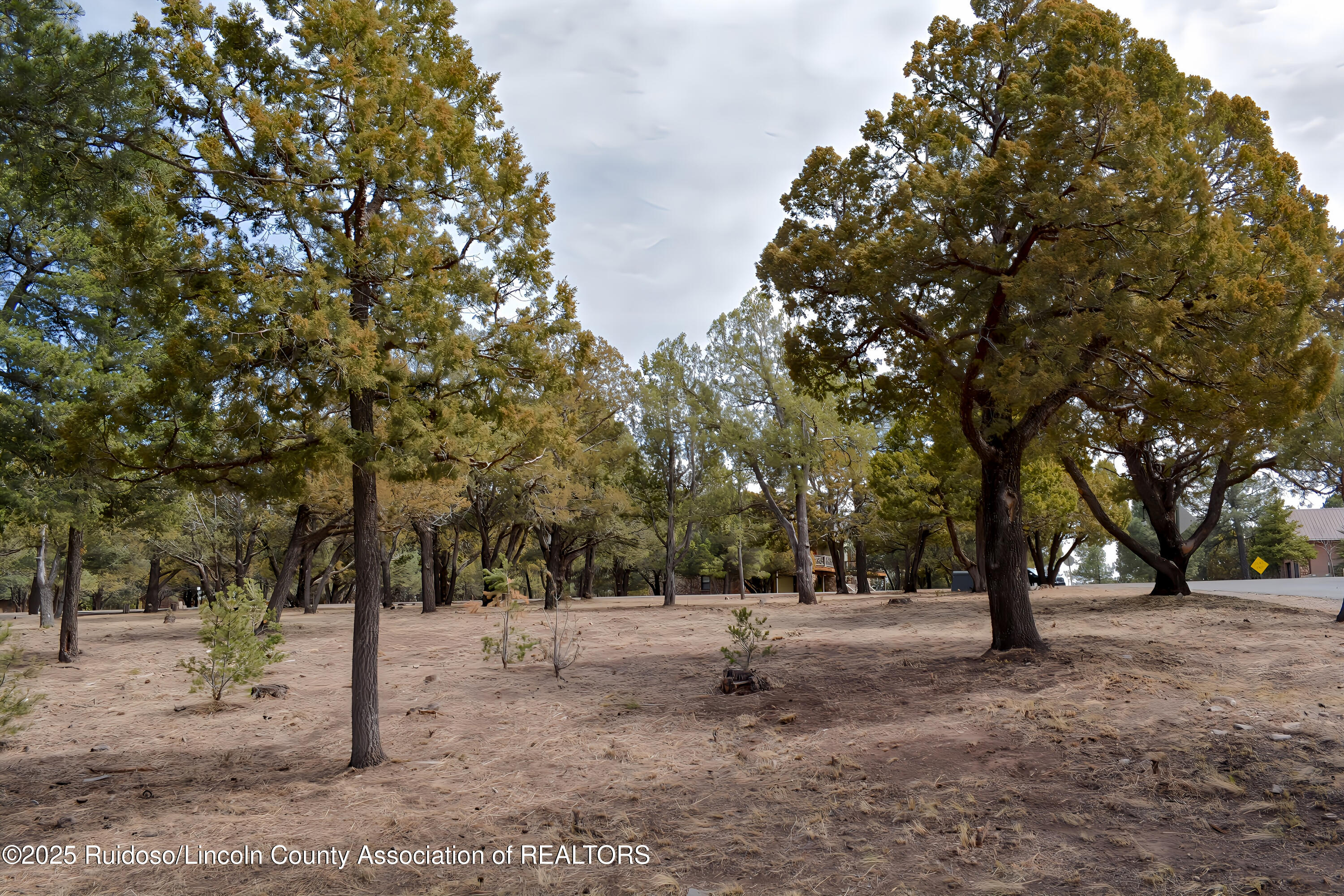Lot 91 Deer Park Drive #3, Alto, New Mexico image 14