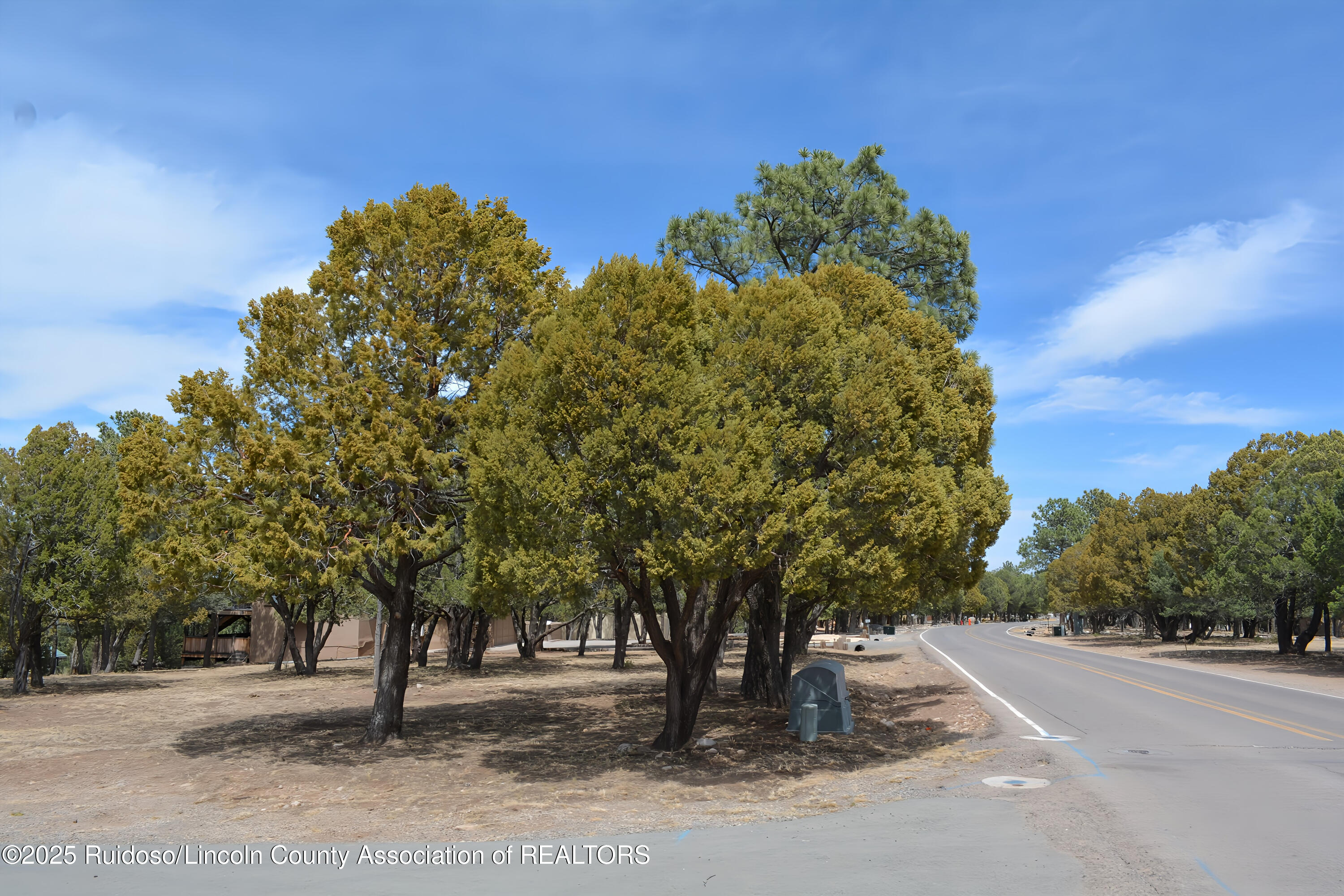 Lot 91 Deer Park Drive #3, Alto, New Mexico image 7