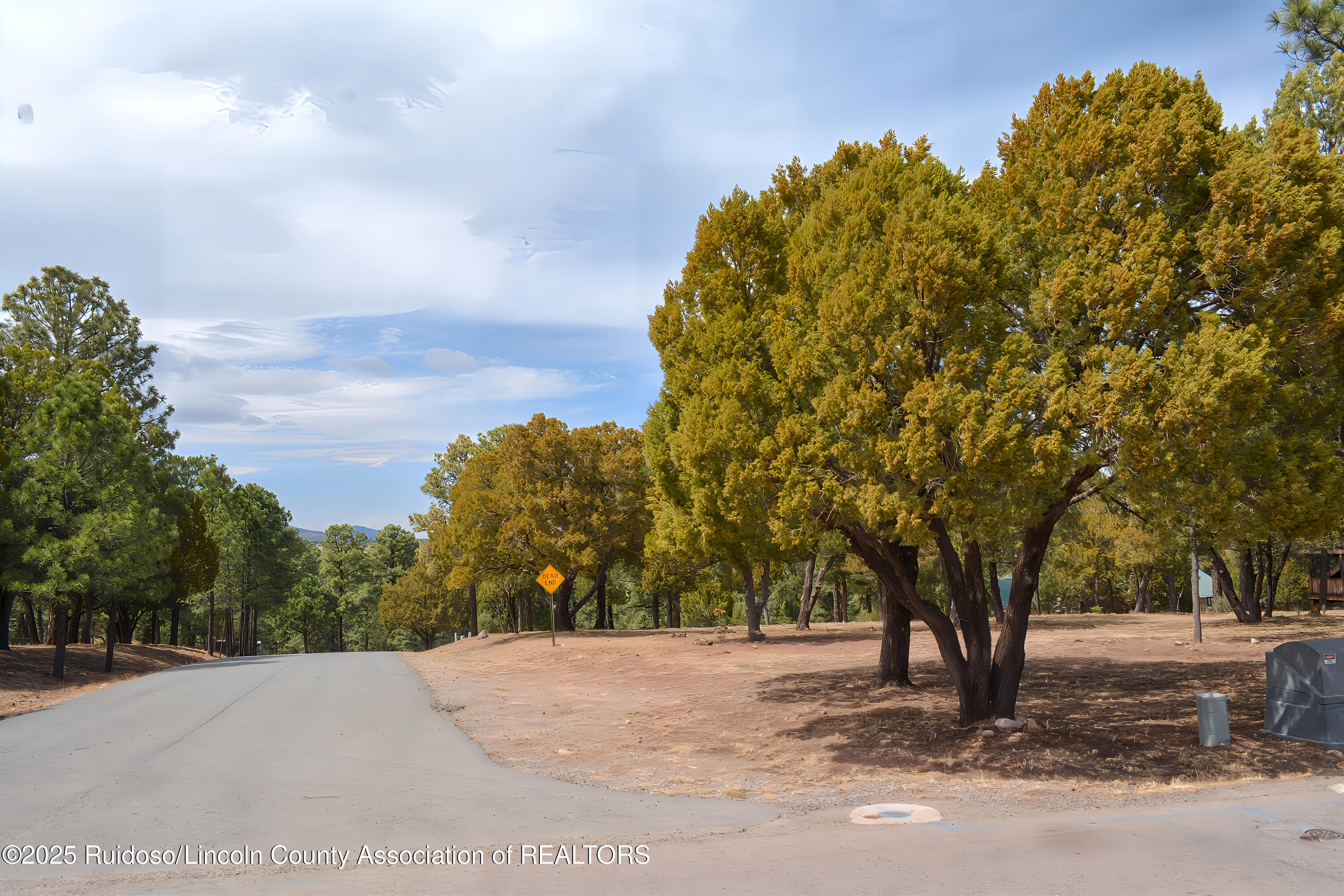 Lot 91 Deer Park Drive #3, Alto, New Mexico image 6