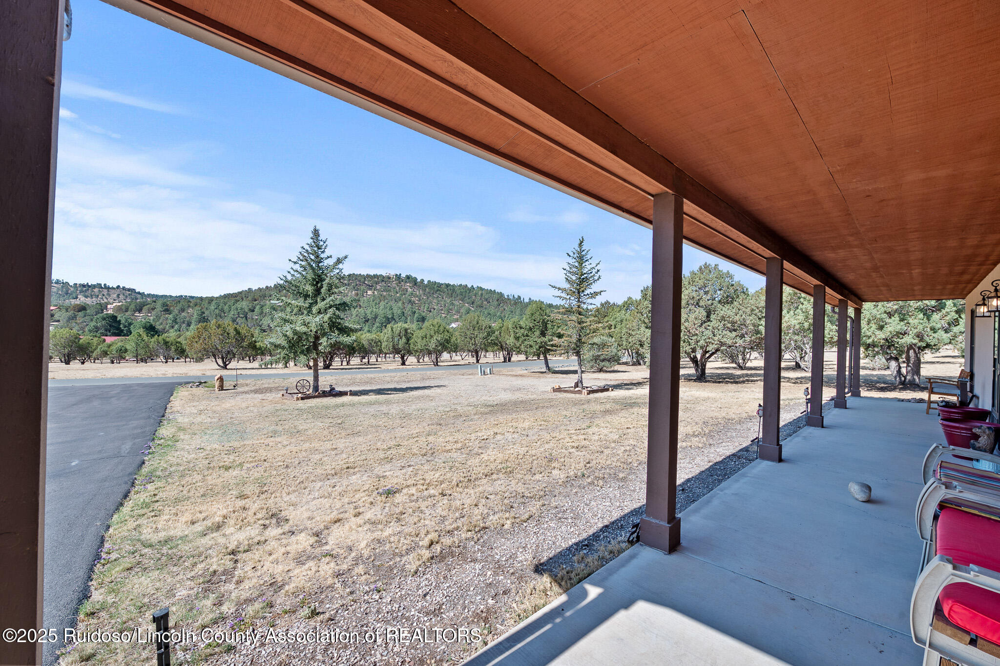105 Reindeer Drive, Alto, New Mexico image 28