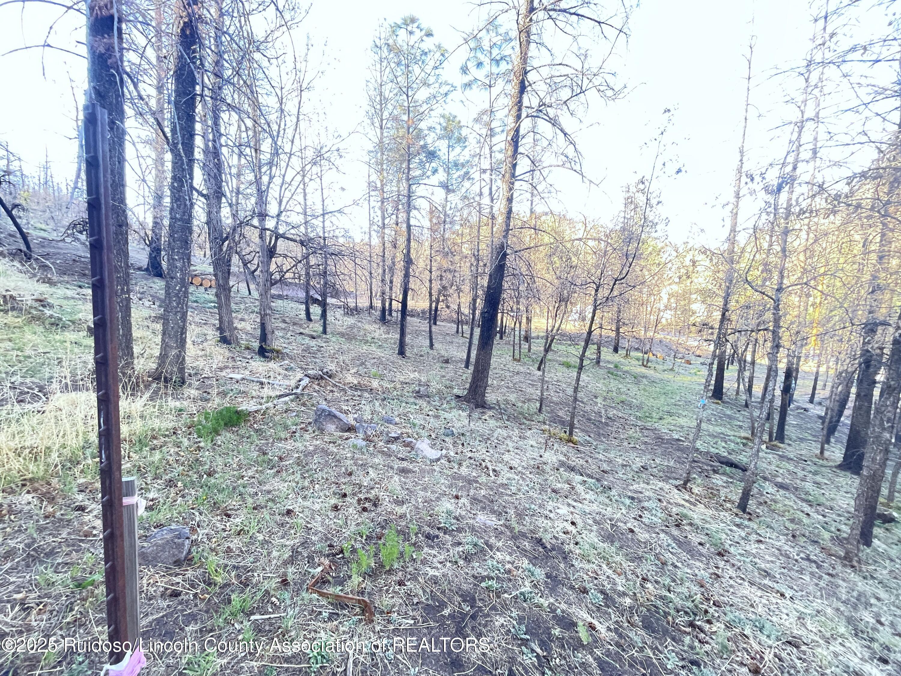 101 Flintlock Trail, Ruidoso, New Mexico image 10