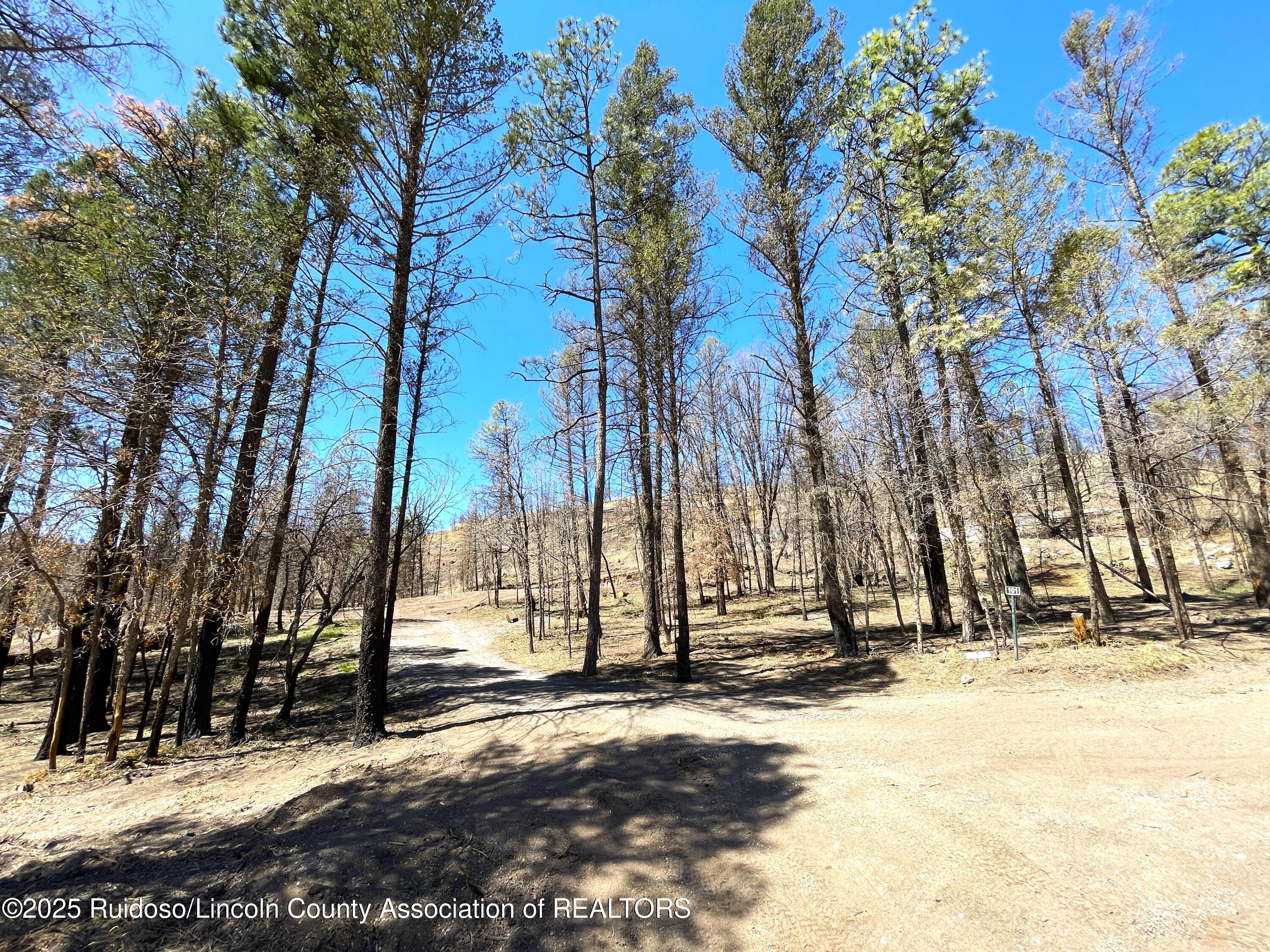 101 Flintlock Trail, Ruidoso, New Mexico image 1