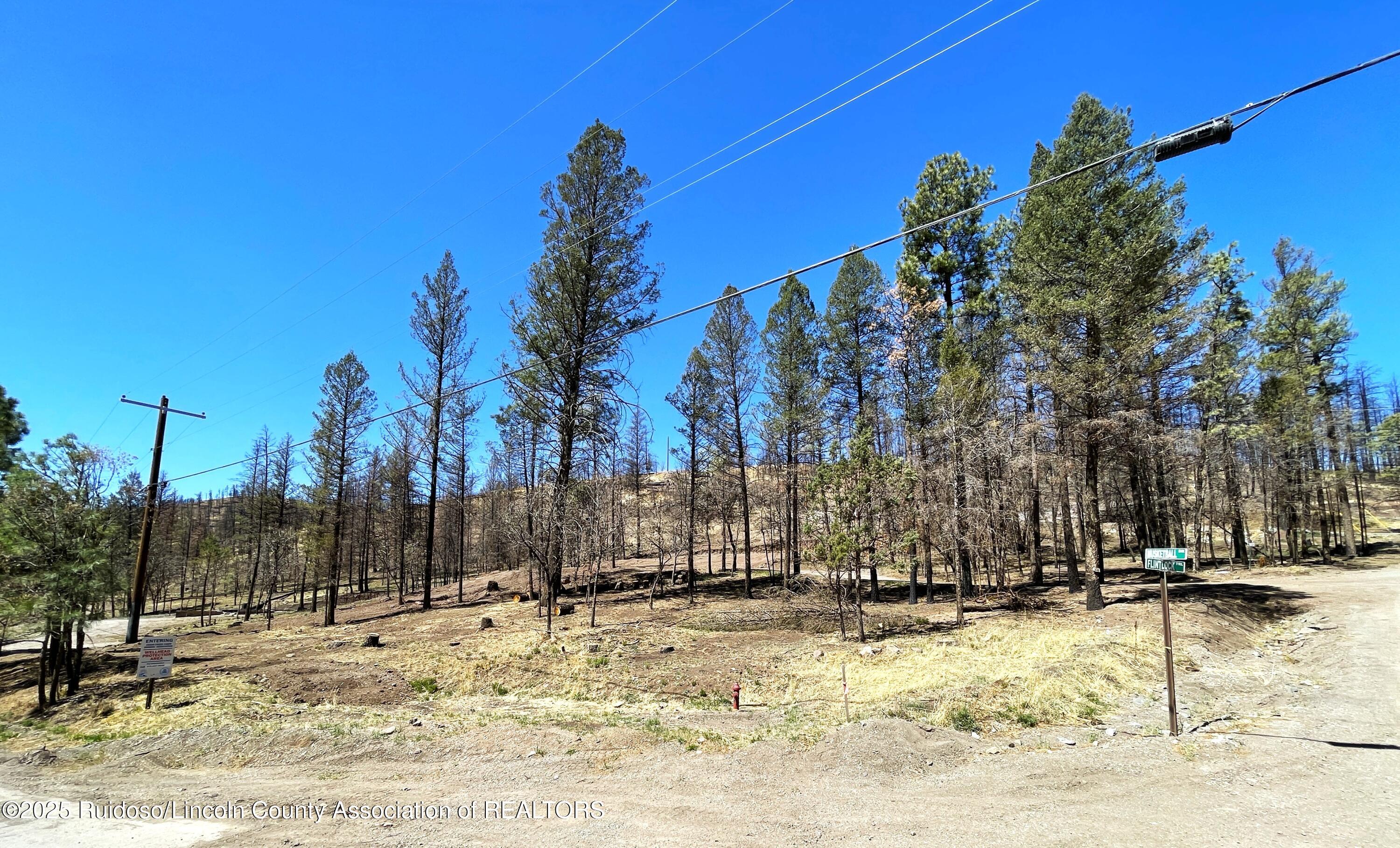 101 Flintlock Trail, Ruidoso, New Mexico image 12