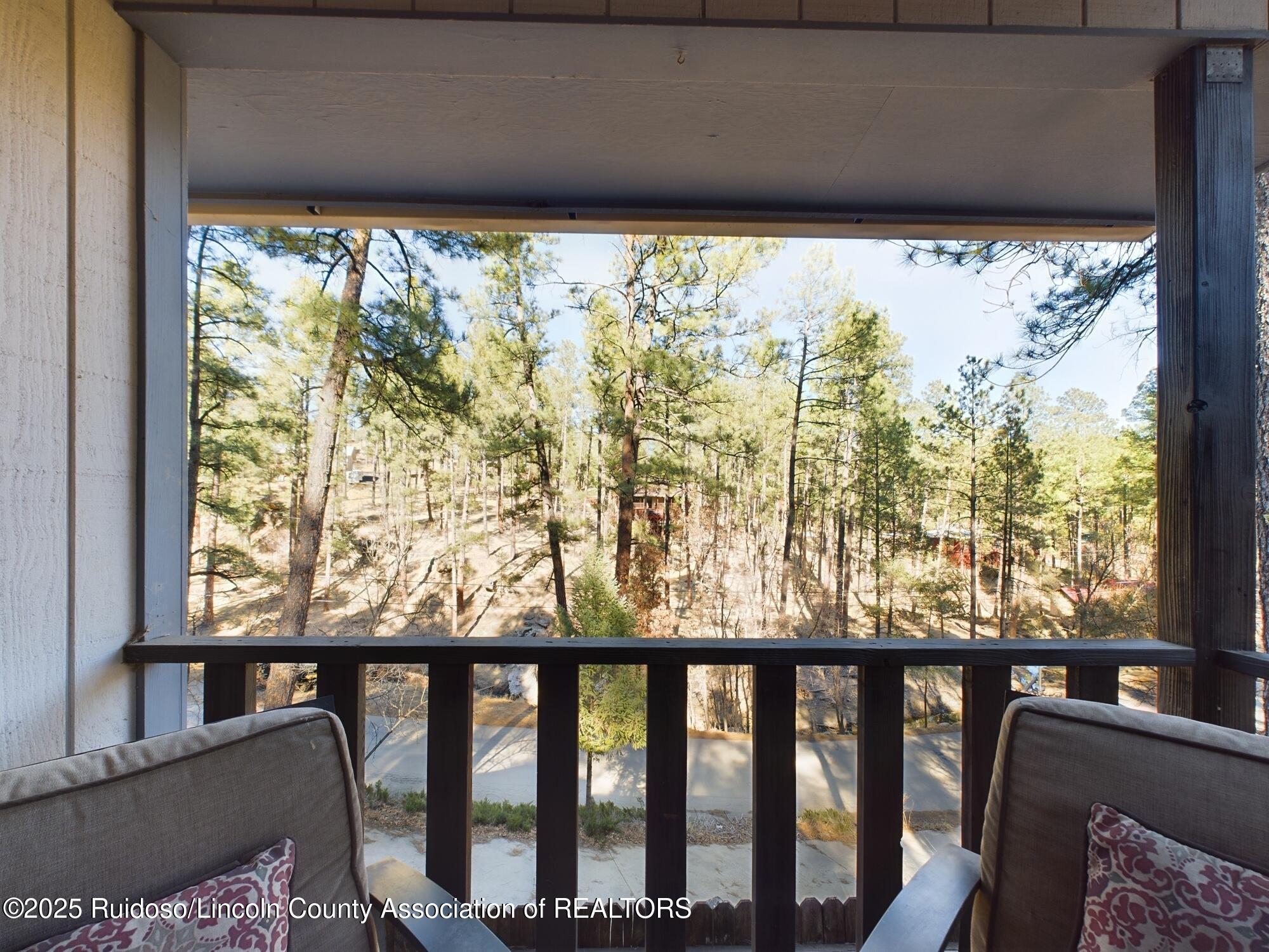 141 Brady Canyon Drive, Ruidoso, Texas image 20
