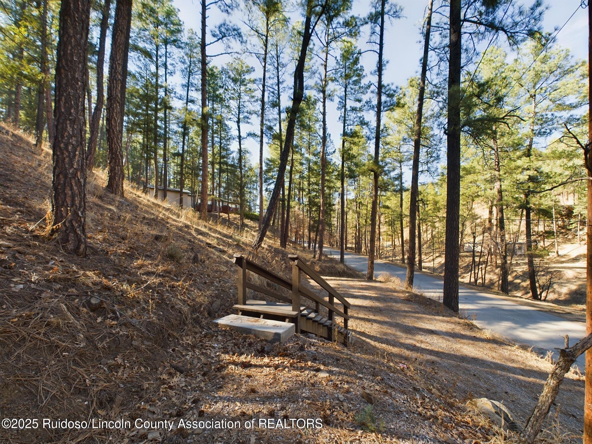 141 Brady Canyon Drive, Ruidoso, Texas image 27
