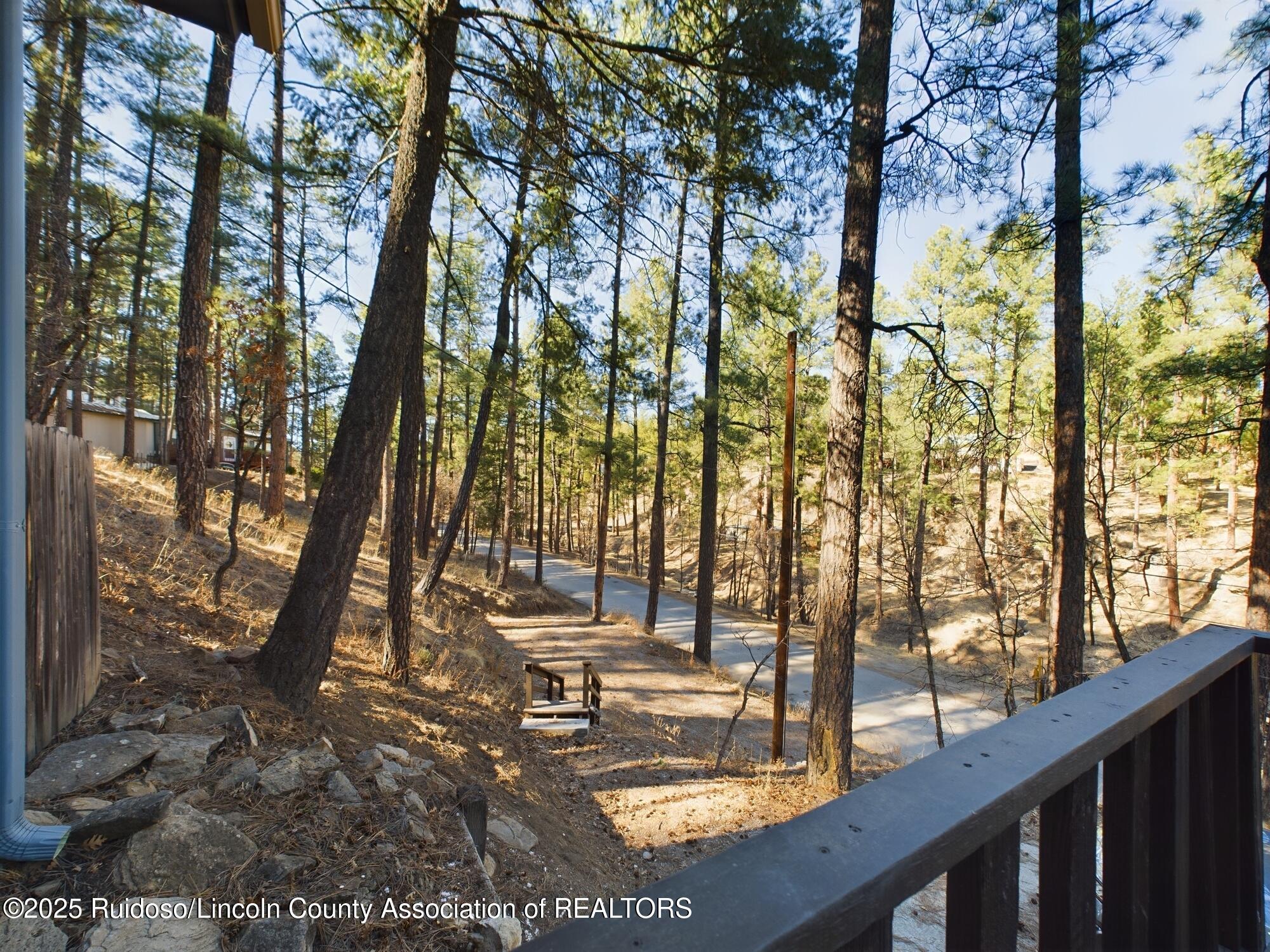 141 Brady Canyon Drive, Ruidoso, Texas image 24