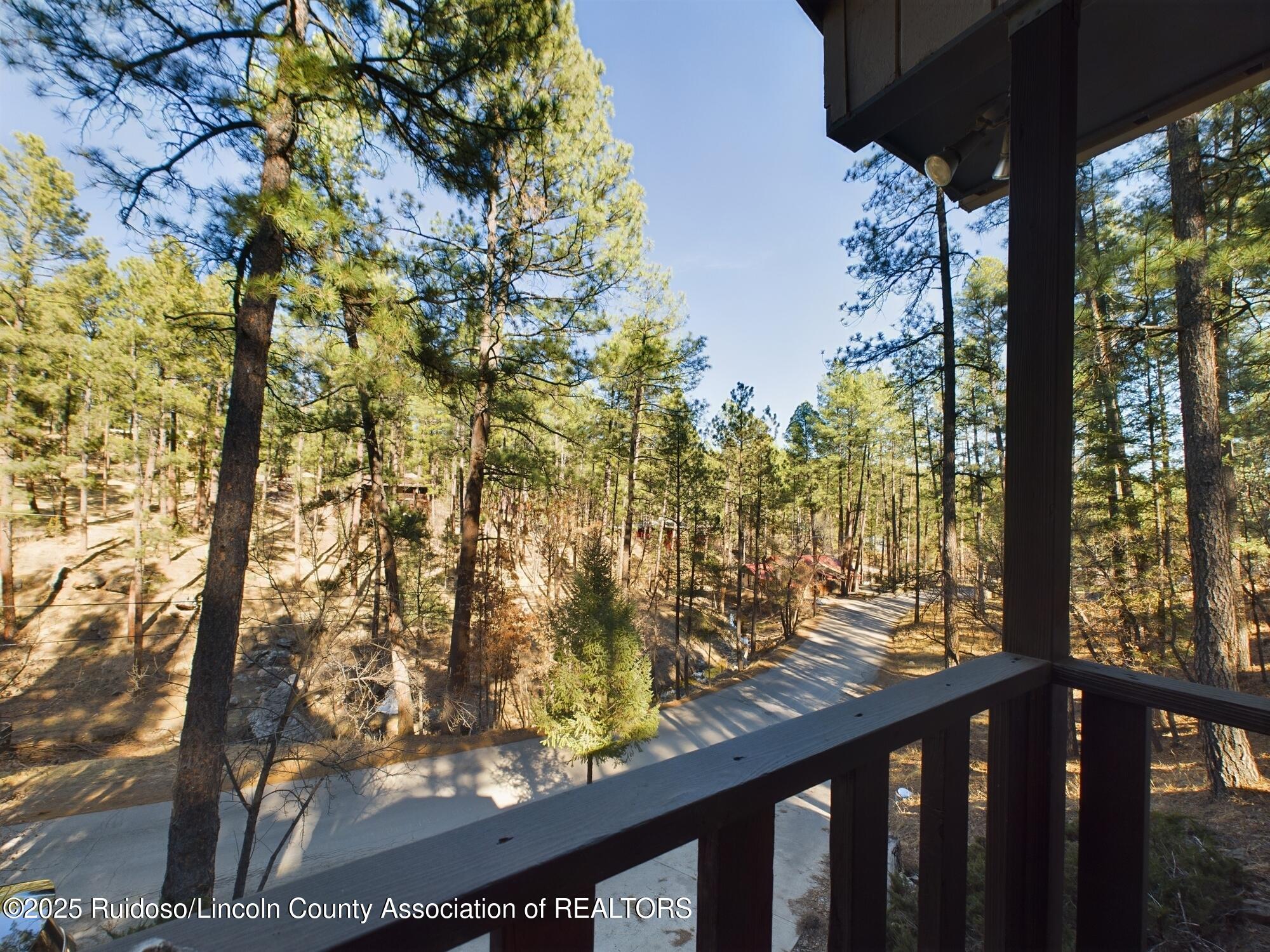 141 Brady Canyon Drive, Ruidoso, Texas image 23