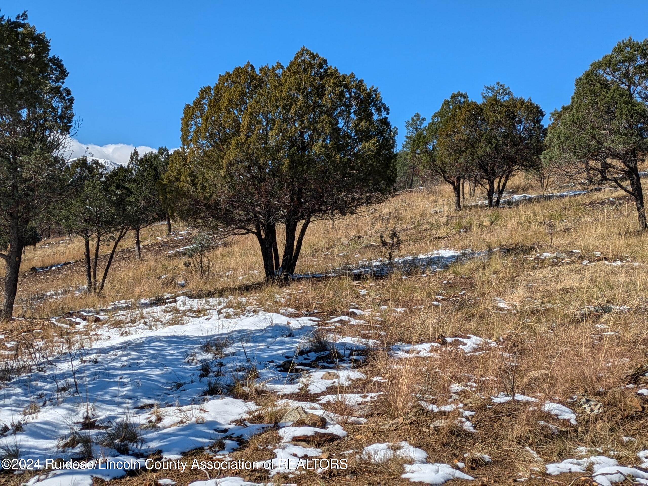 Tract 27 Deer Creek Road, Ruidoso, New Mexico image 4