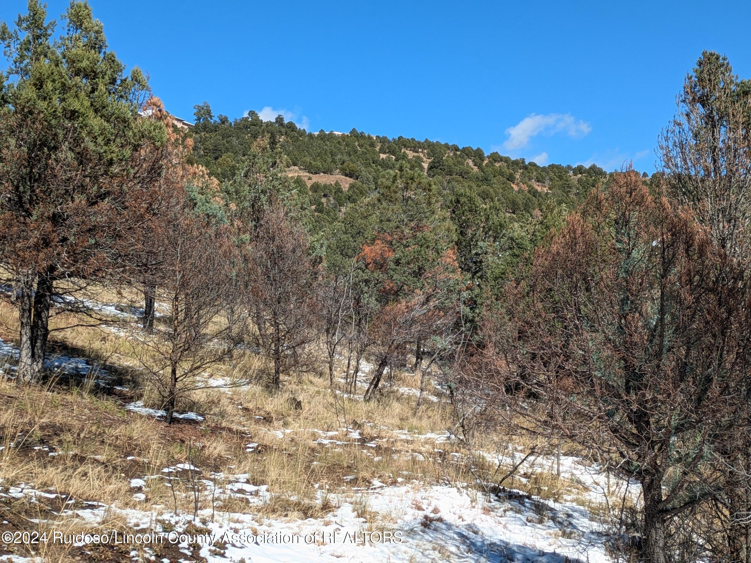 Tract 27 Deer Creek Road, Ruidoso, New Mexico image 5