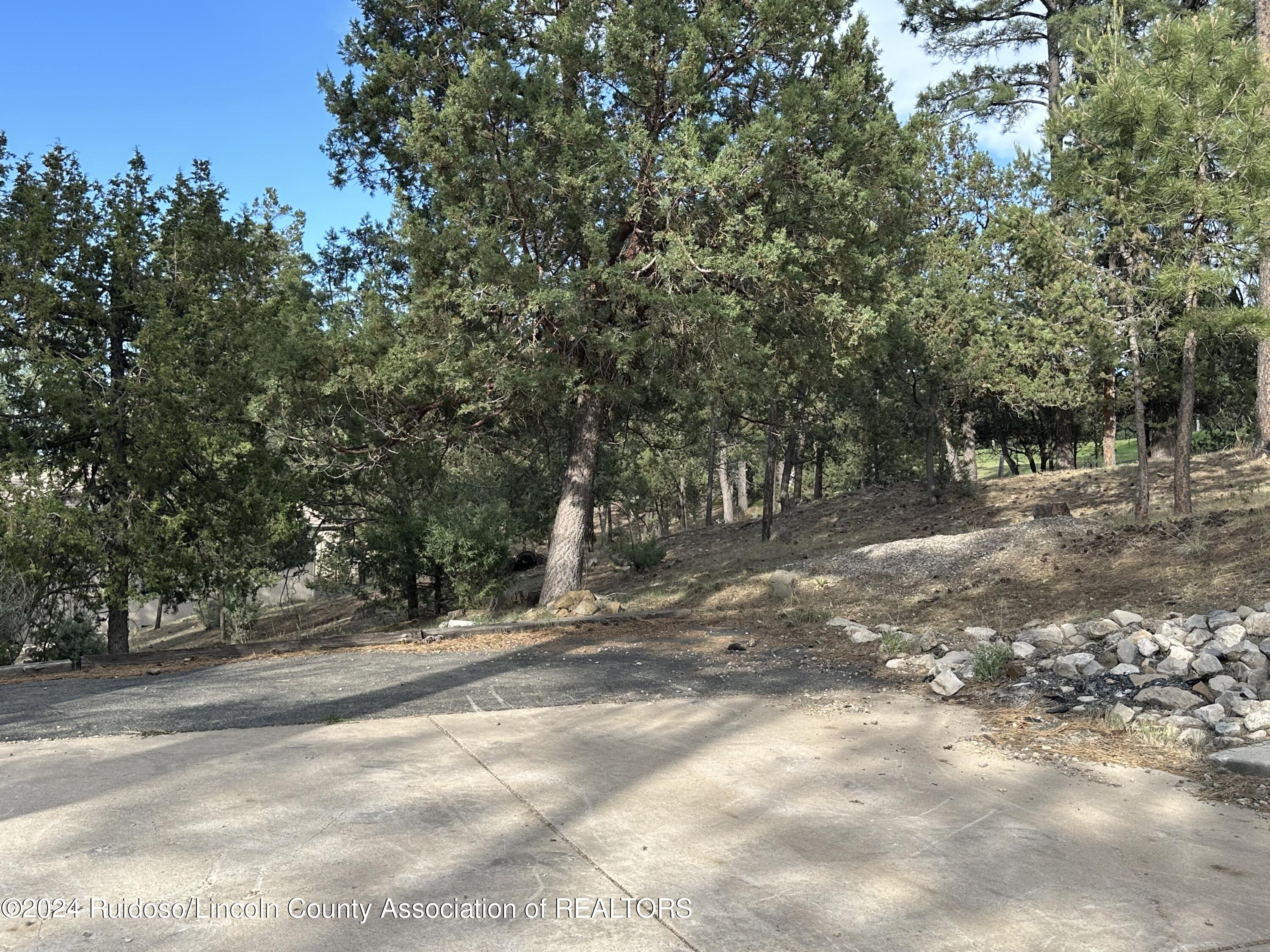 152 Broadmoor Drive, Alto, New Mexico image 17