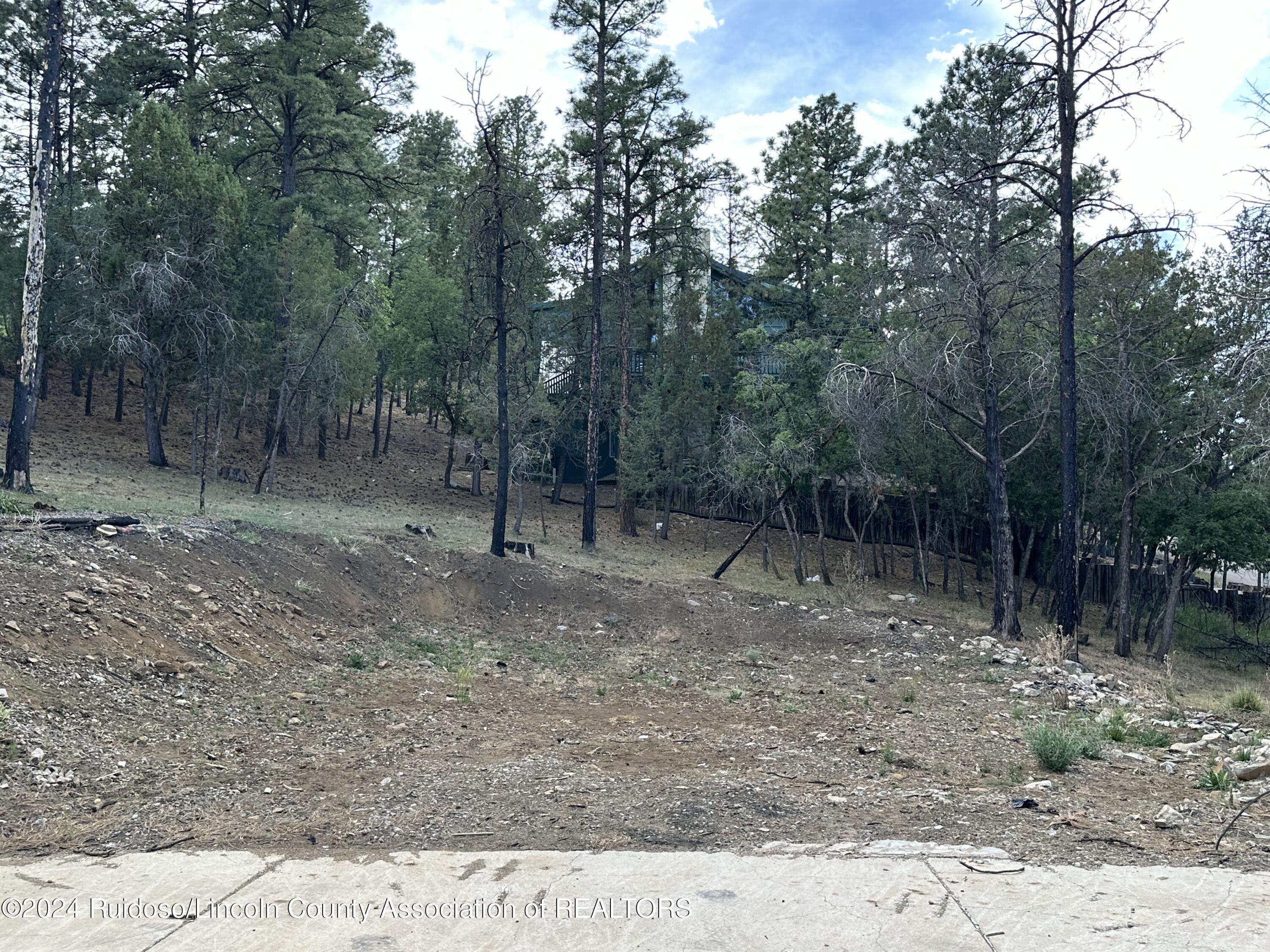 152 Broadmoor Drive, Alto, New Mexico image 16