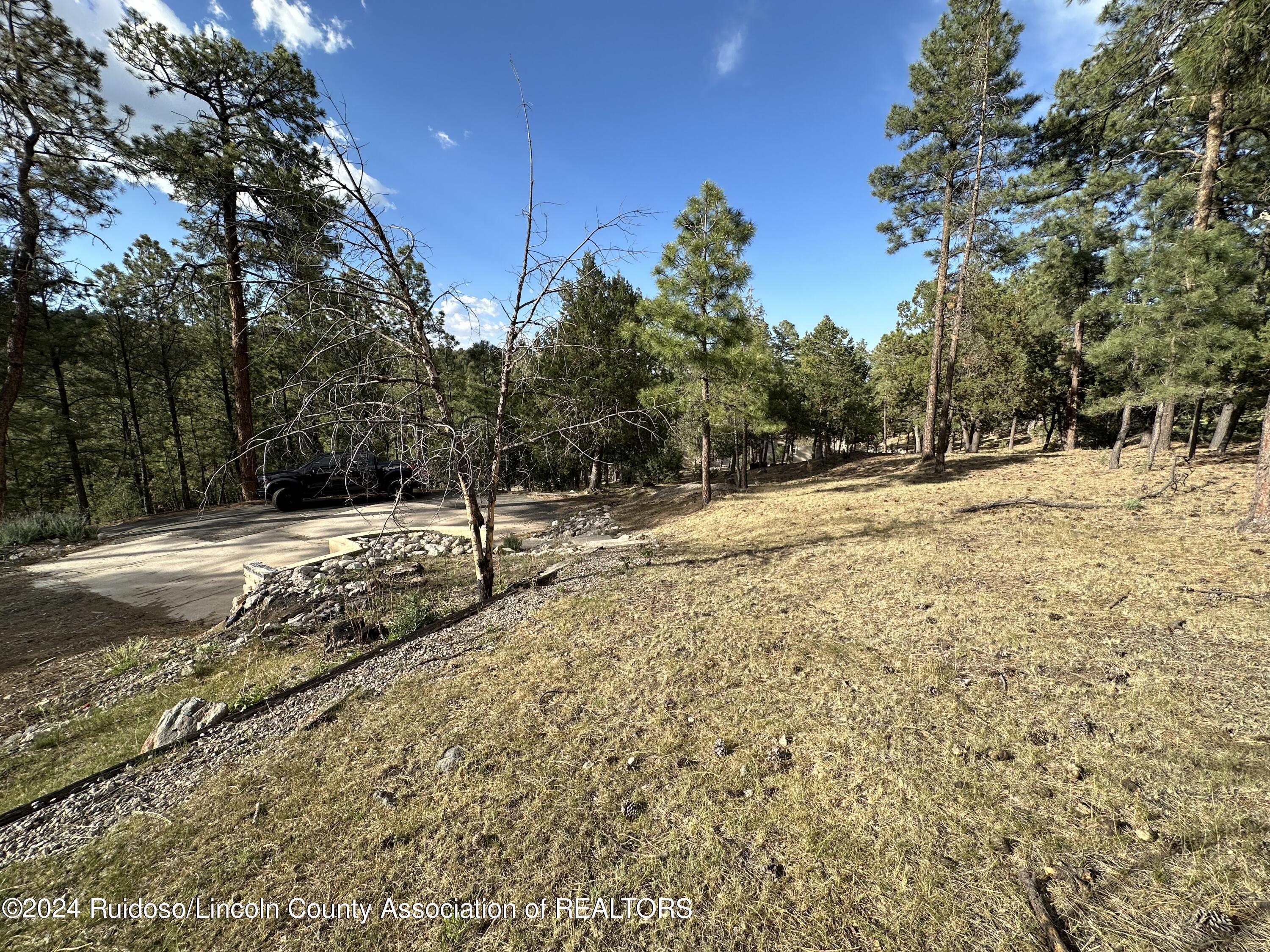 152 Broadmoor Drive, Alto, New Mexico image 24