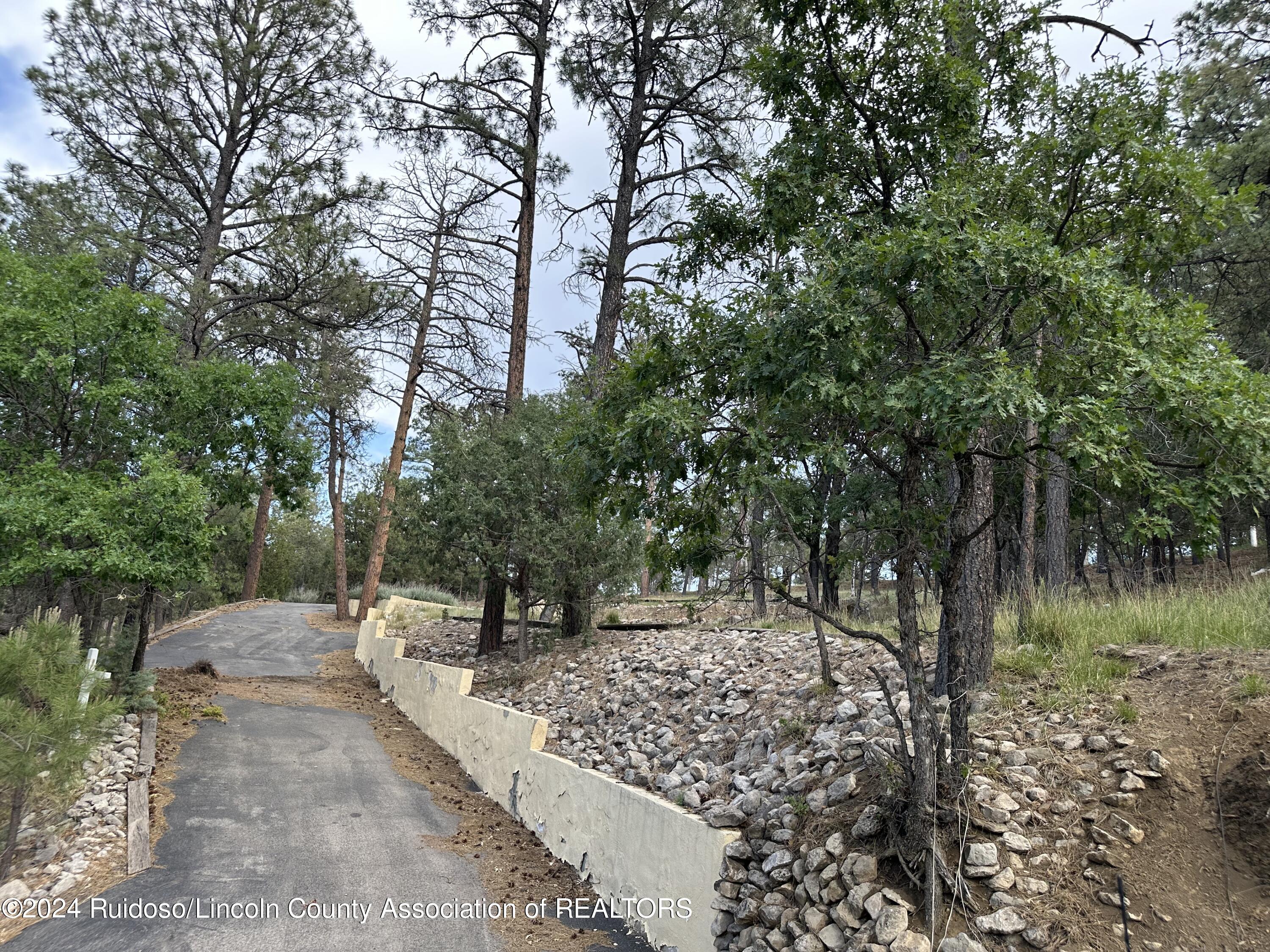 152 Broadmoor Drive, Alto, New Mexico image 14