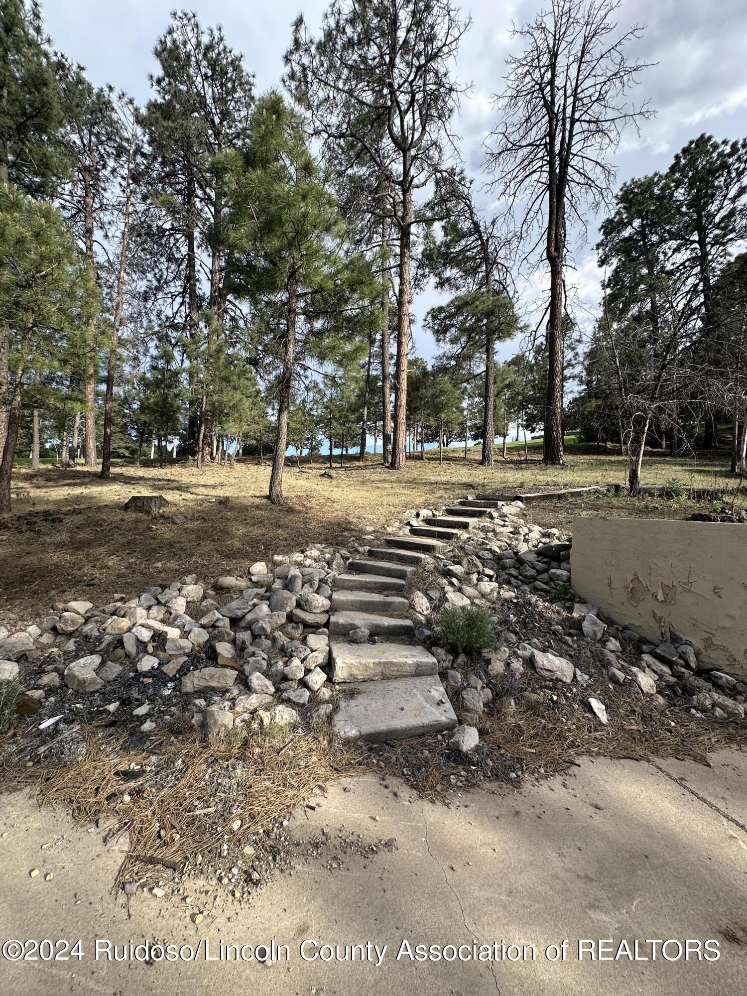 152 Broadmoor Drive, Alto, New Mexico image 8