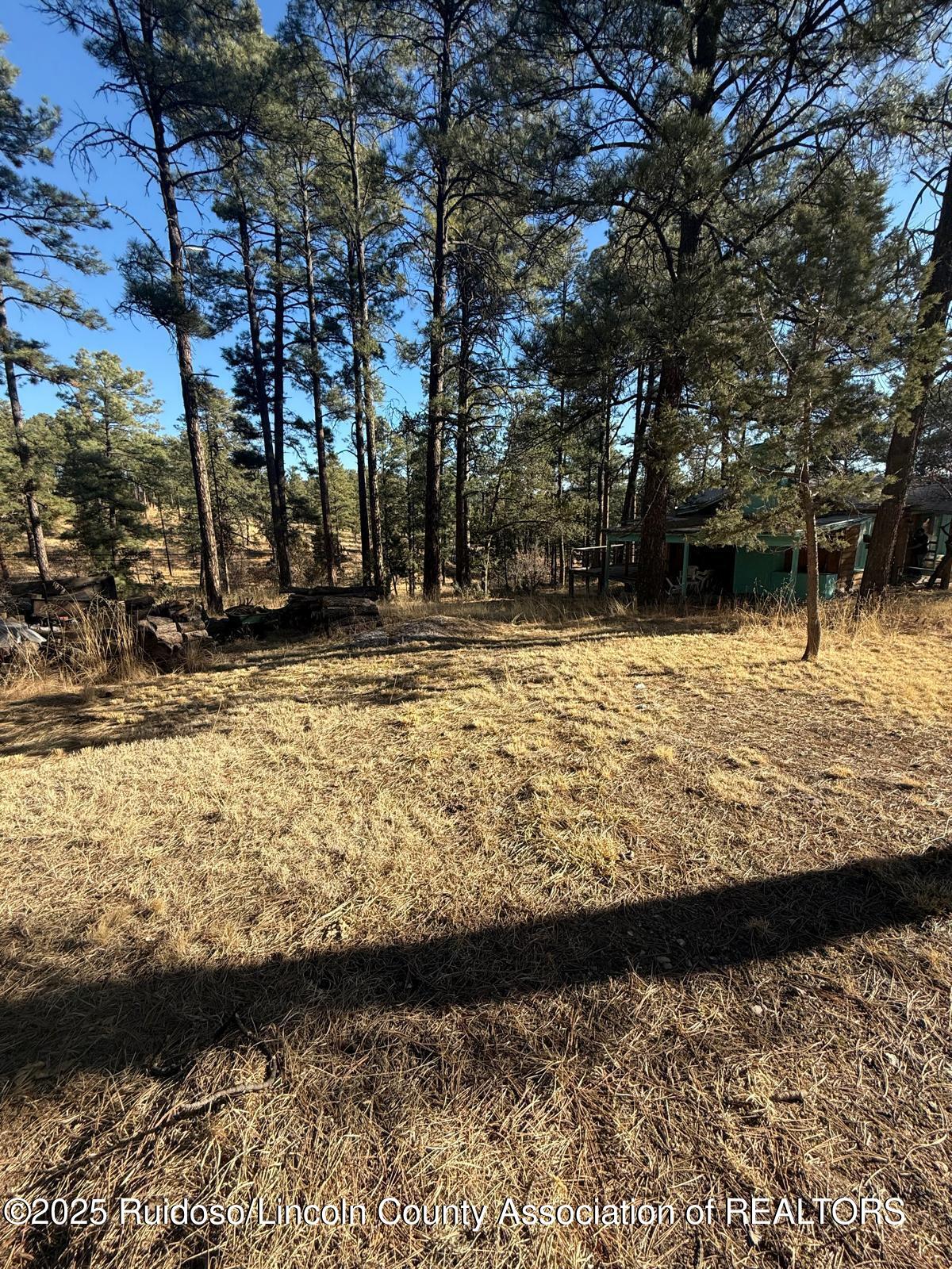 126 & 128 Cedar Place, Ruidoso, New Mexico image 40