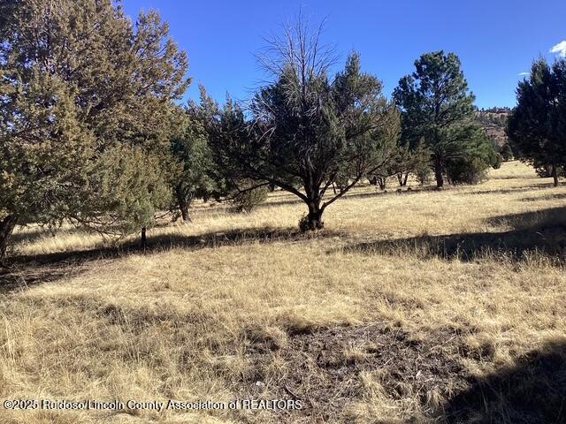 Lot 225 Antler Drive, Alto, New Mexico image 5