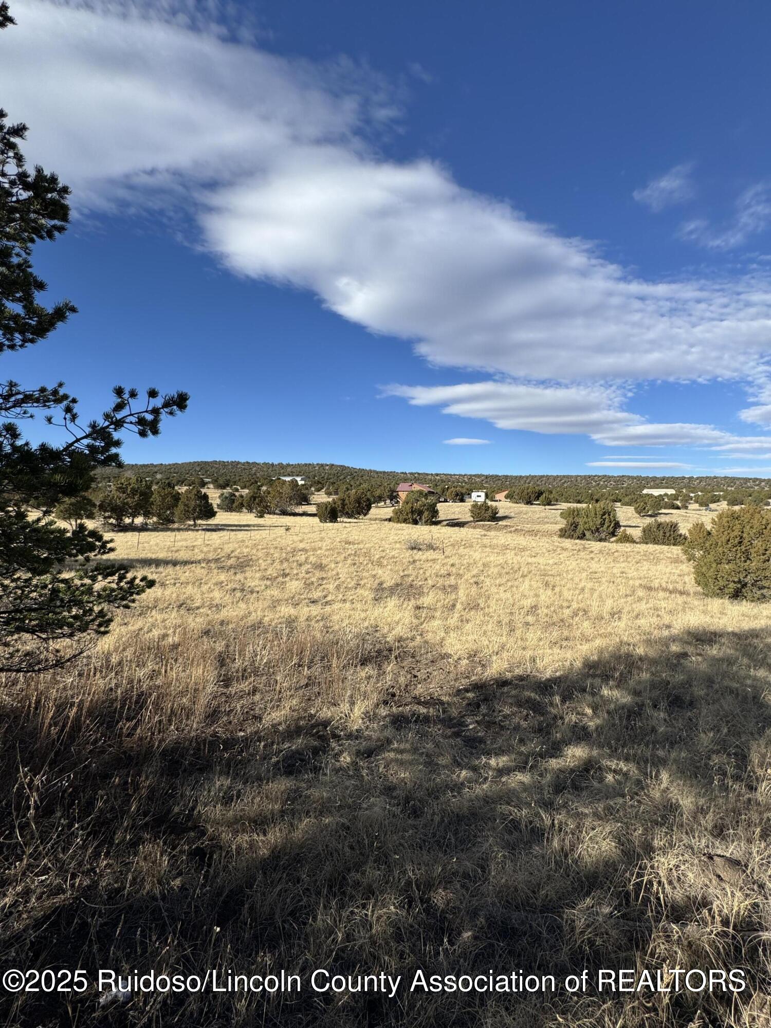 L35 Kreuzer, Alto, New Mexico image 3