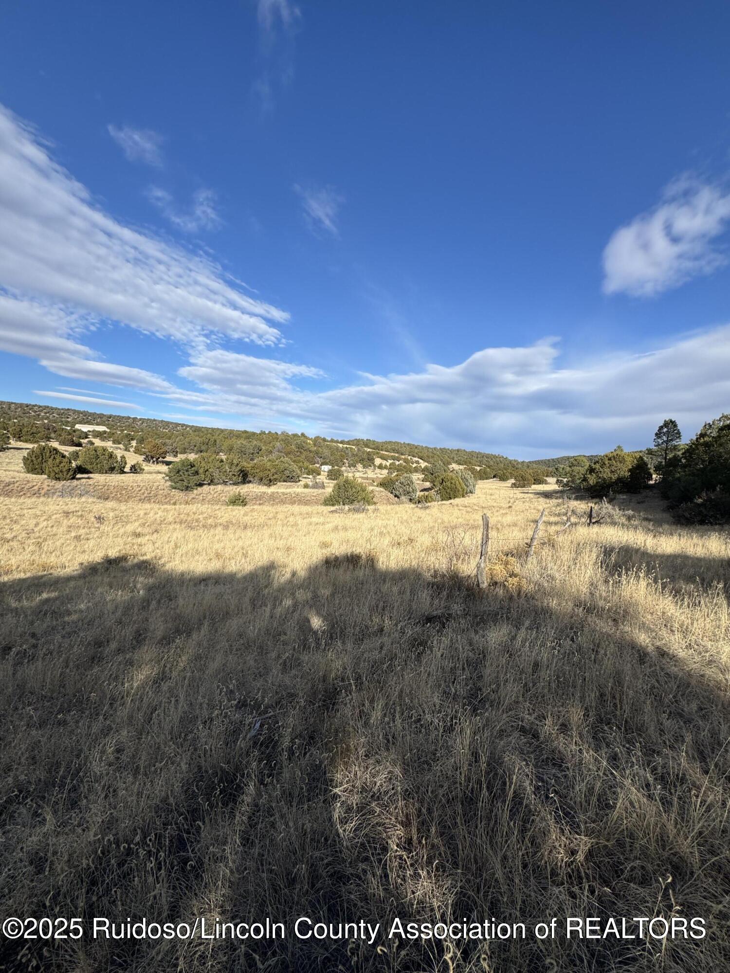 L35 Kreuzer, Alto, New Mexico image 4