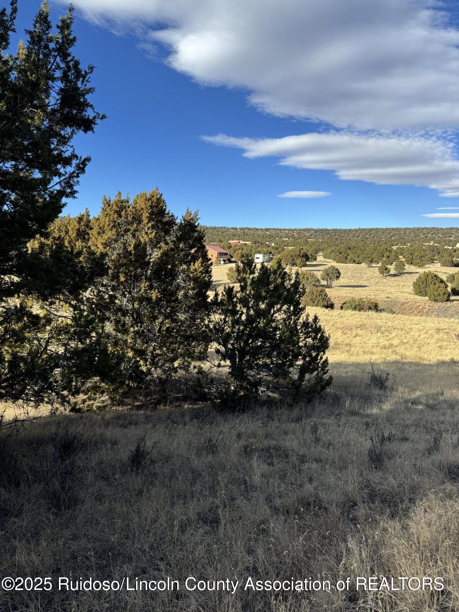 L35 Kreuzer, Alto, New Mexico image 6