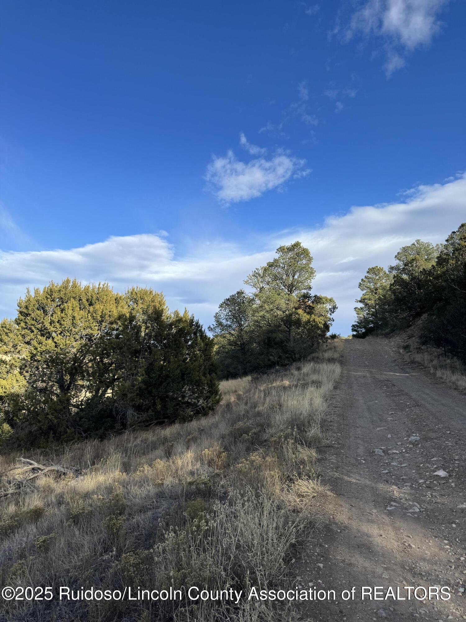 L35 Kreuzer, Alto, New Mexico image 9