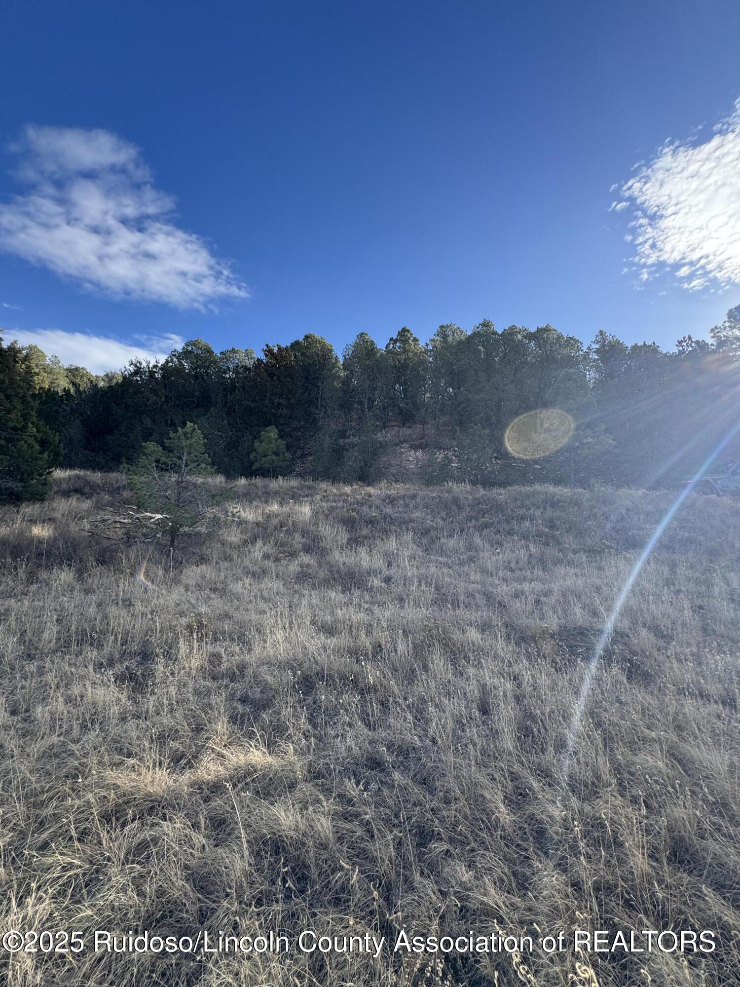 L35 Kreuzer, Alto, New Mexico image 10