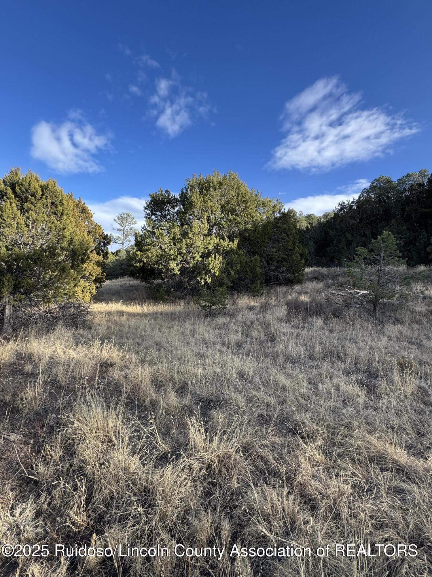 L35 Kreuzer, Alto, New Mexico image 11