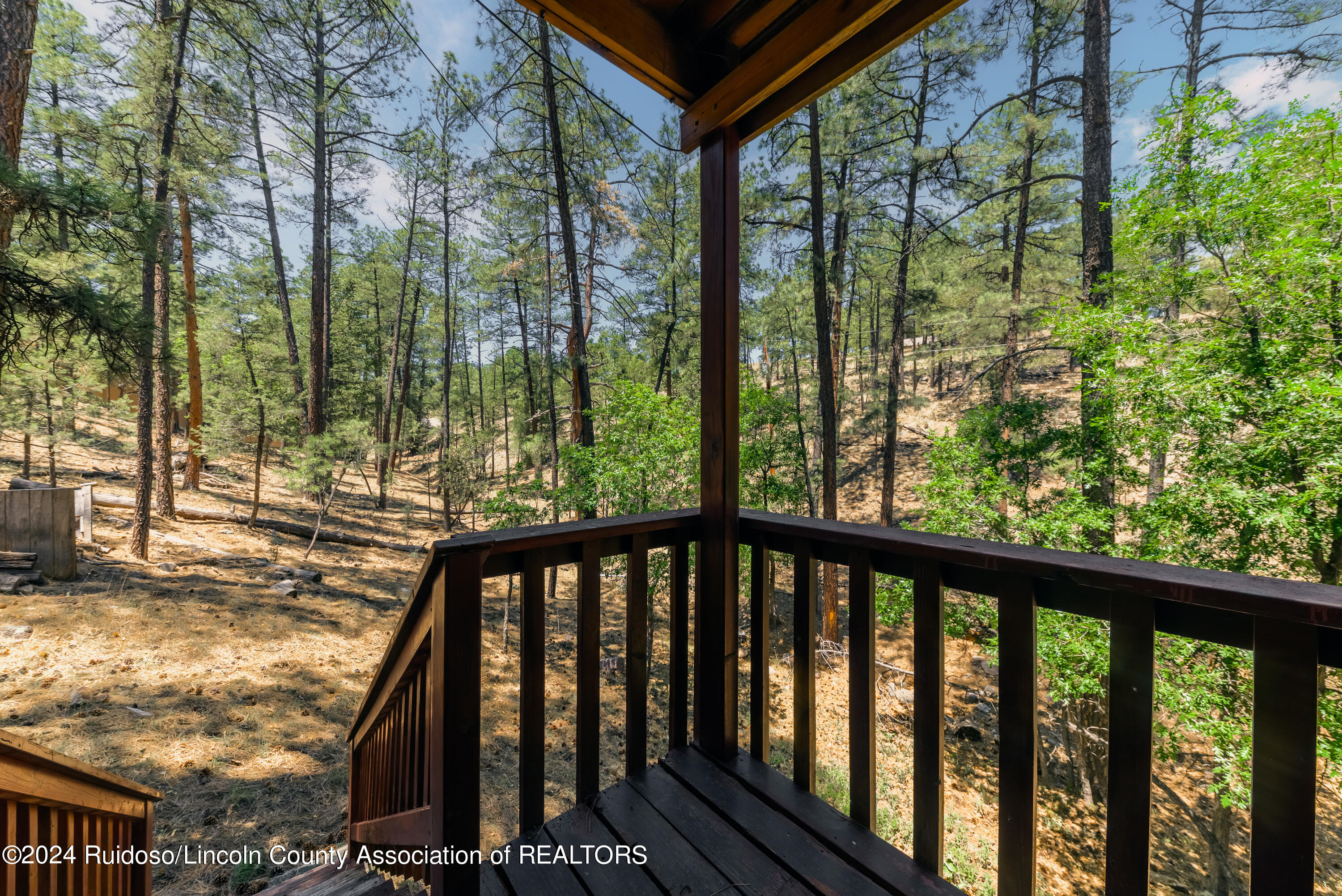 121 Twin Tree Loop, Alto, New Mexico image 19