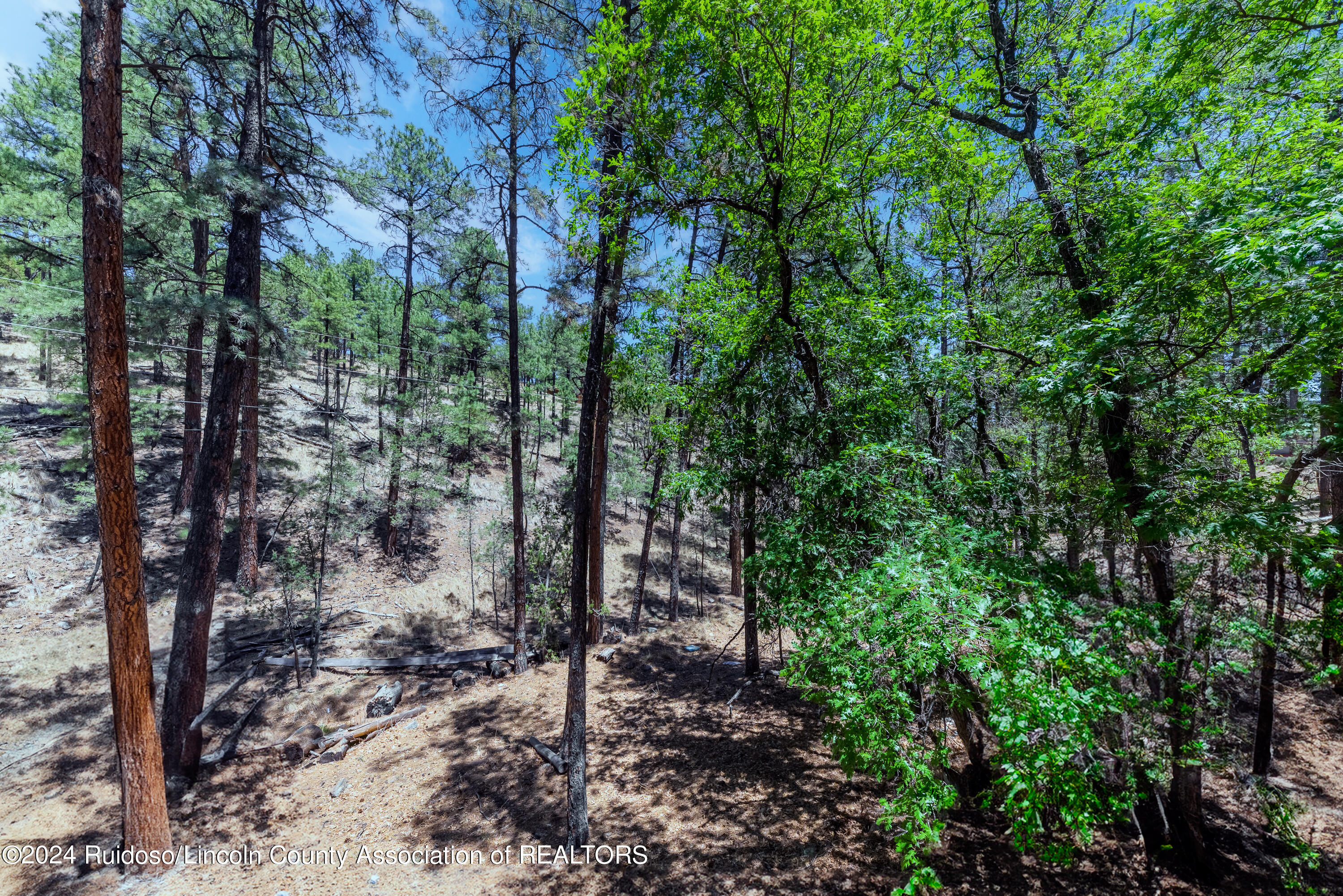 121 Twin Tree Loop, Alto, New Mexico image 17