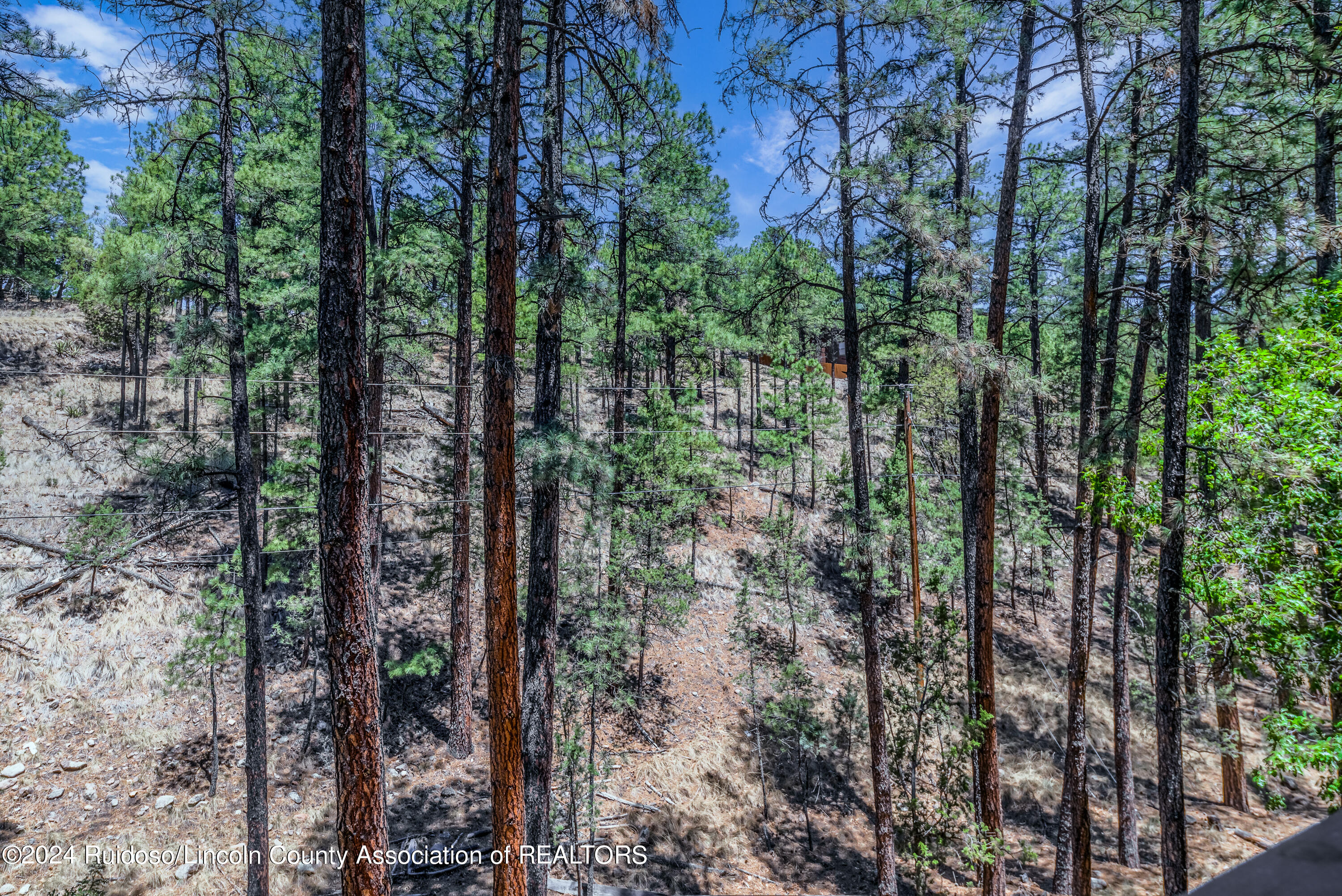 121 Twin Tree Loop, Alto, New Mexico image 27