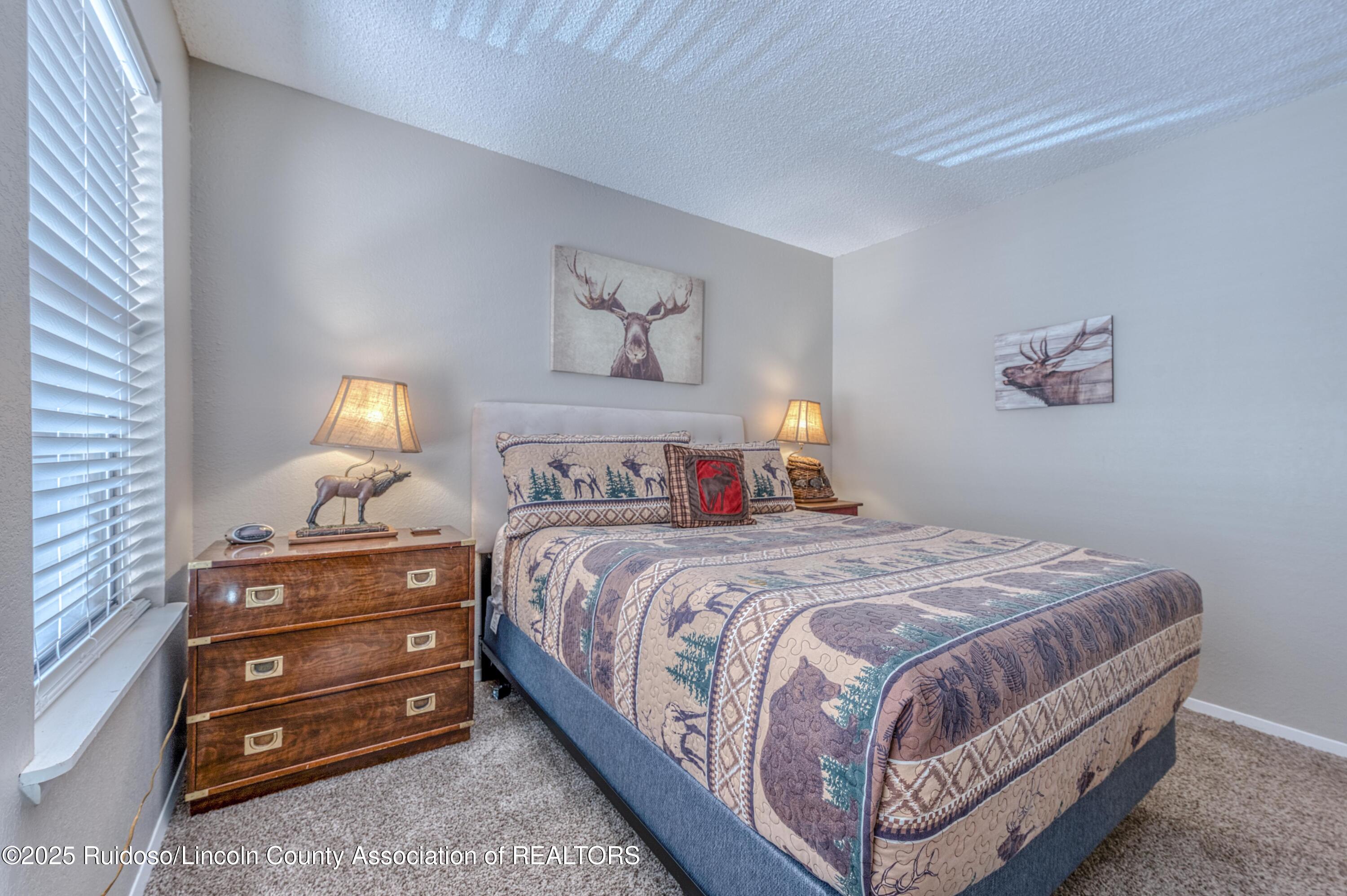 108 Jack Little Drive #15, Ruidoso, New Mexico image 46