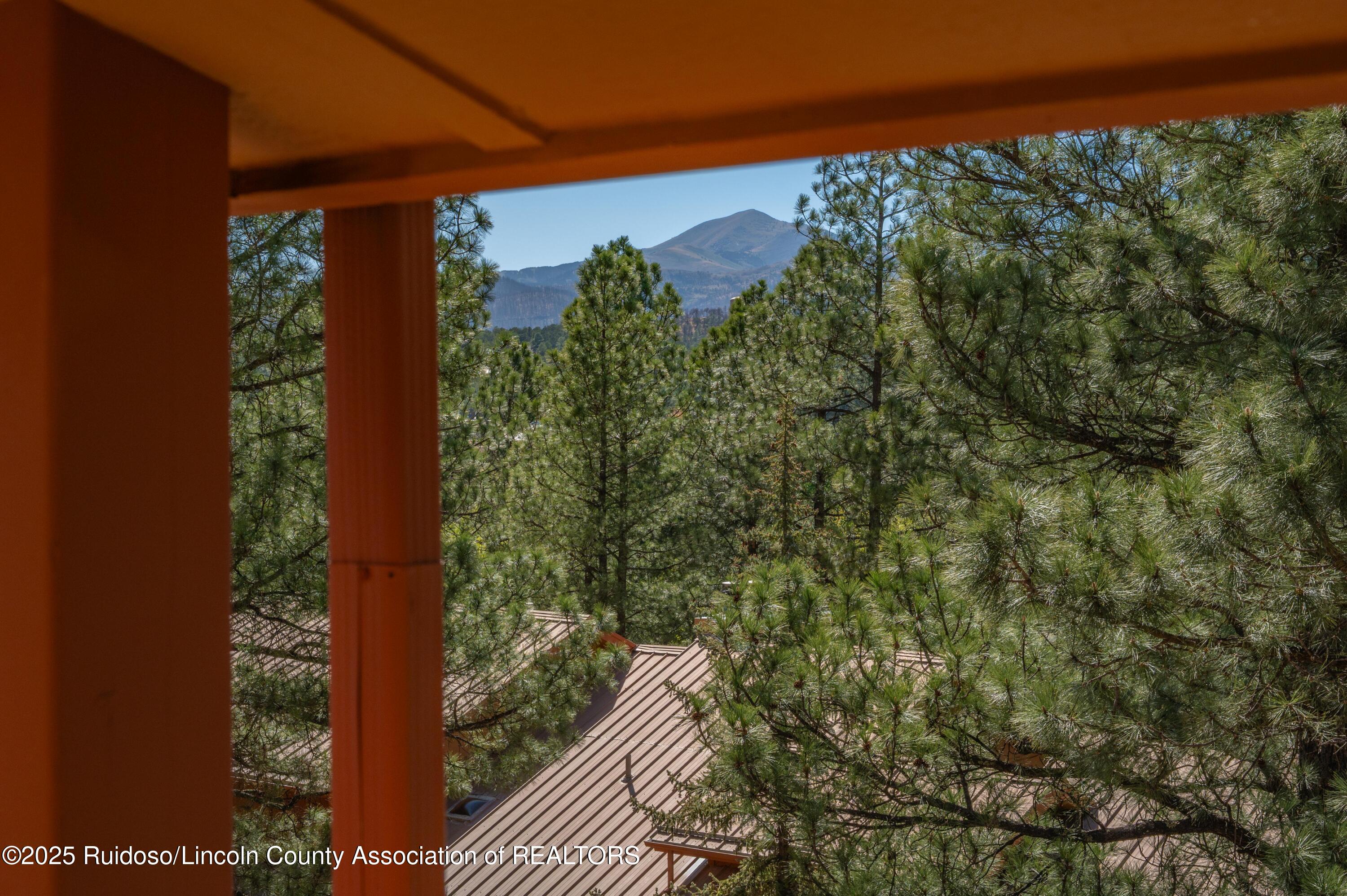 108 Jack Little Drive #15, Ruidoso, New Mexico image 42