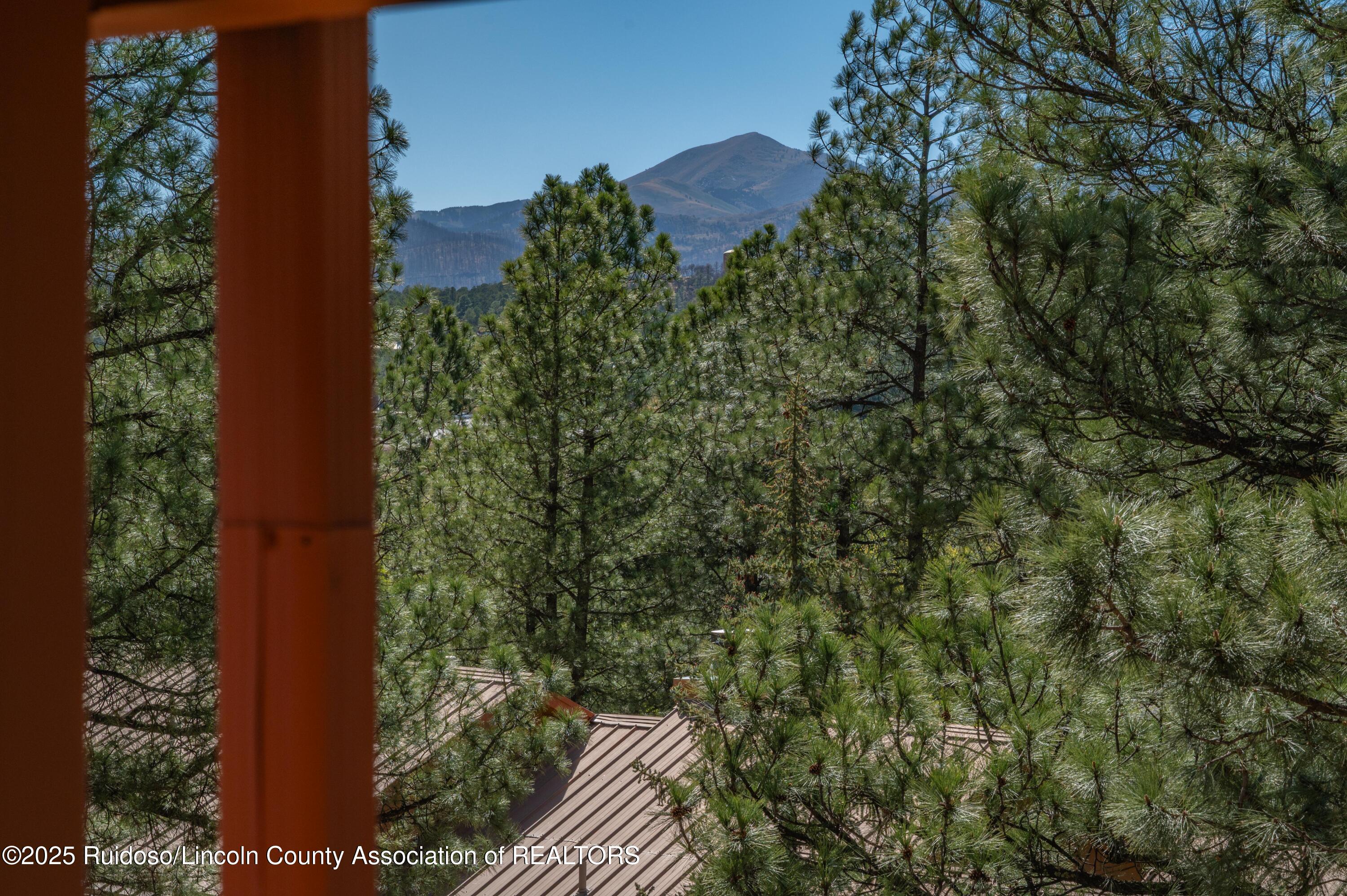 108 Jack Little Drive #15, Ruidoso, New Mexico image 43
