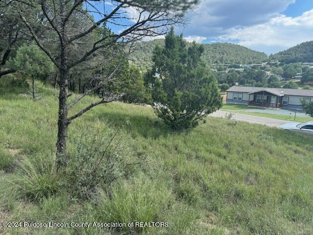 1127 Little Big Horn Road, Alto, New Mexico image 3