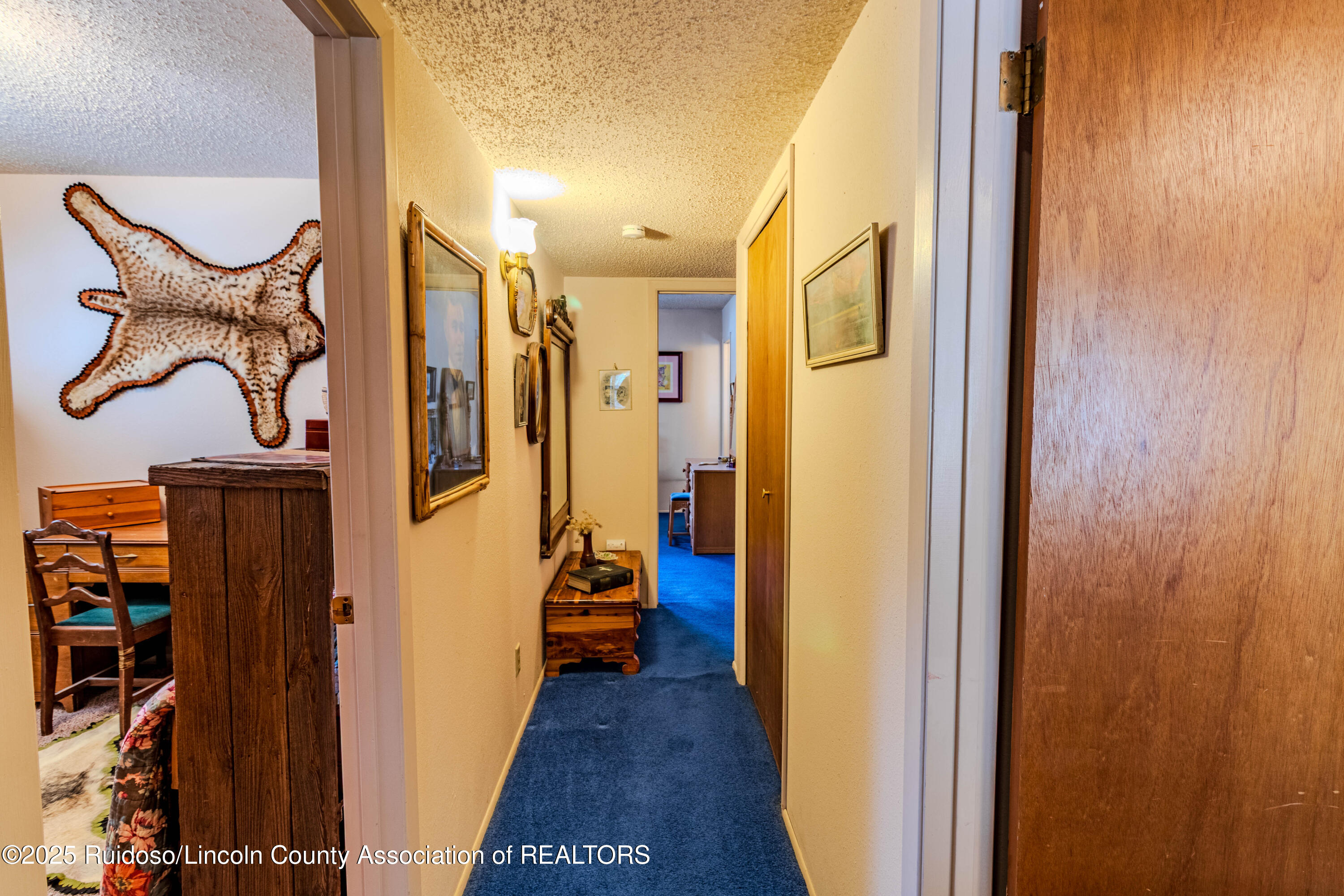 209 Torreon Loop, Ruidoso, New Mexico image 15