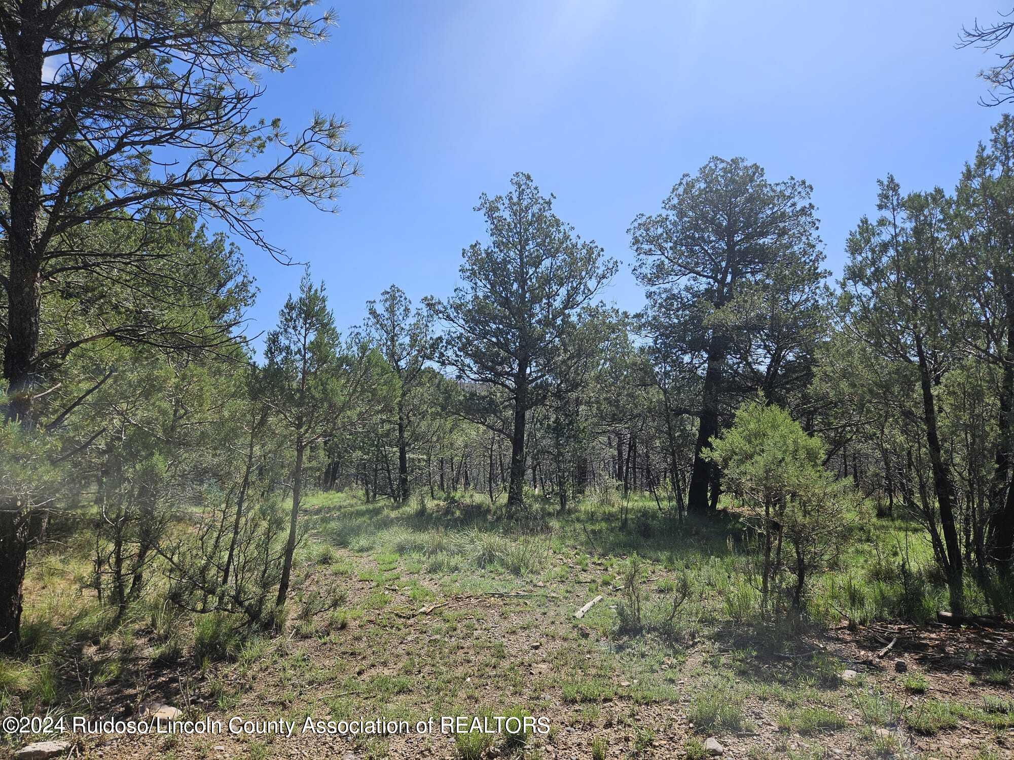 LOT 9 & 10 Homestead Heights Drive, Ruidoso, New Mexico image 29