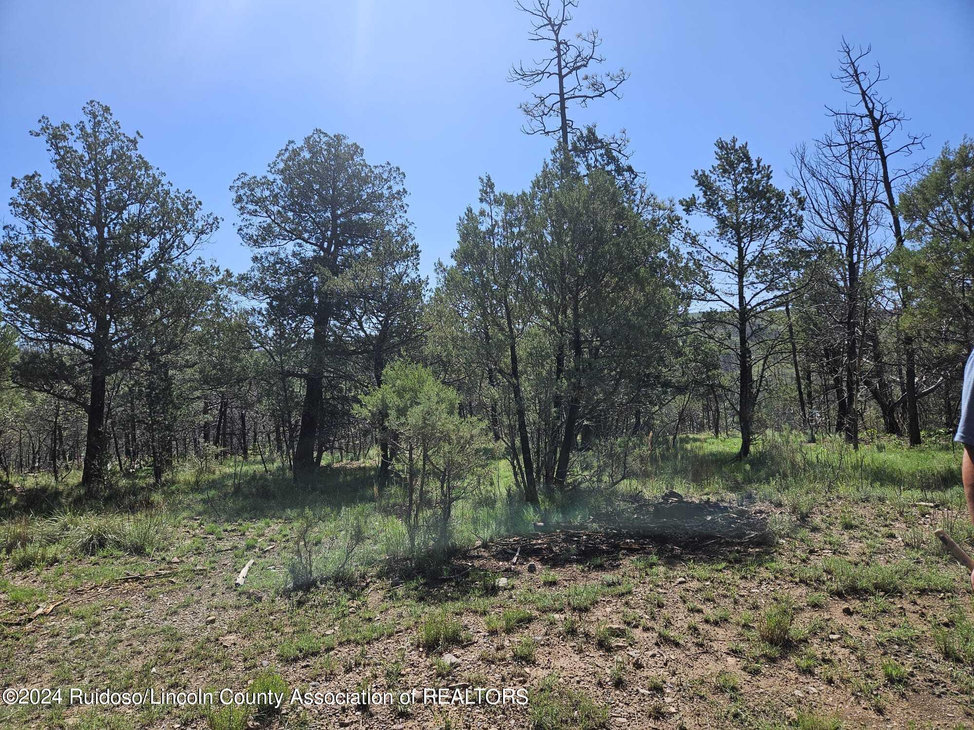 LOT 9 & 10 Homestead Heights Drive, Ruidoso, New Mexico image 21