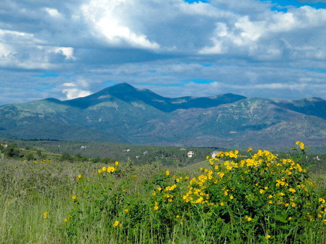 44C Lee Trevino Court #3, Alto, New Mexico image 4