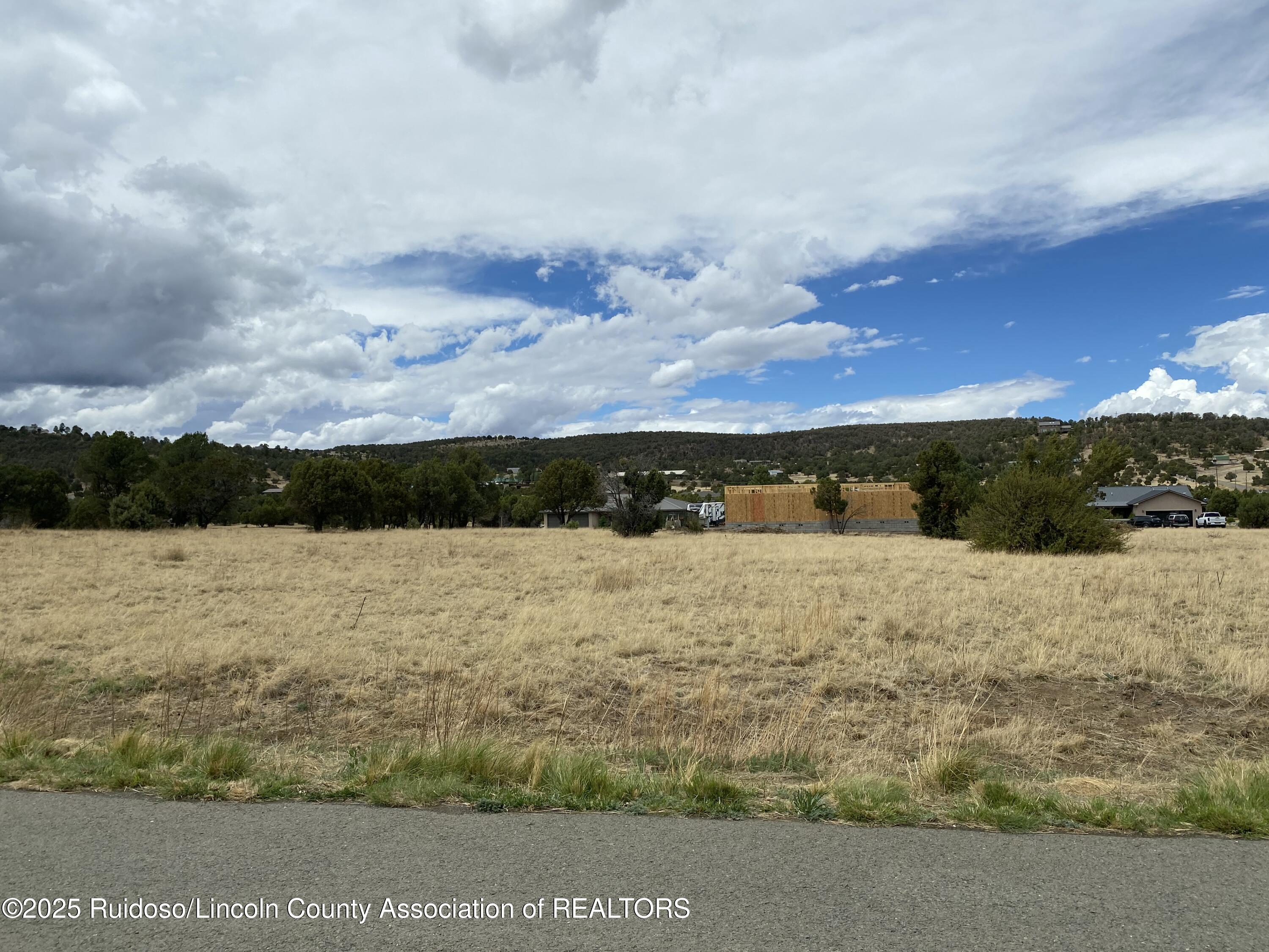 Lot 263 Saddleback Road, Alto, New Mexico image 3