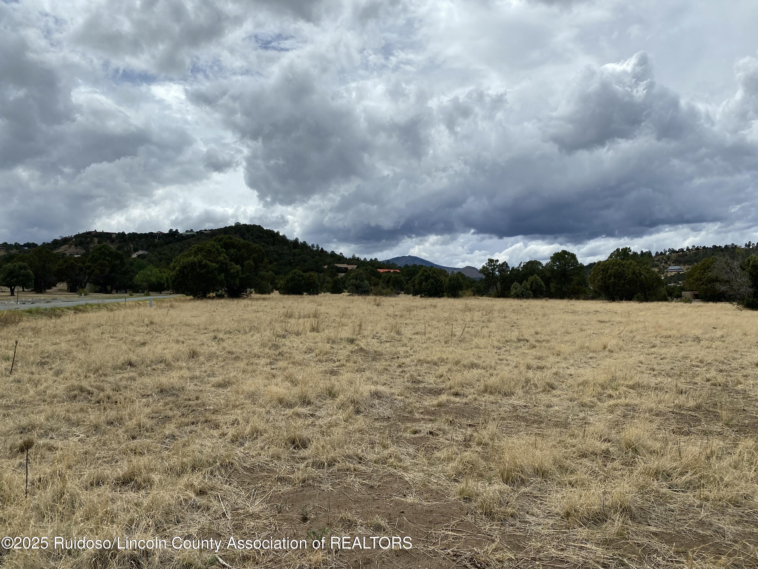 Lot 263 Saddleback Road, Alto, New Mexico image 2