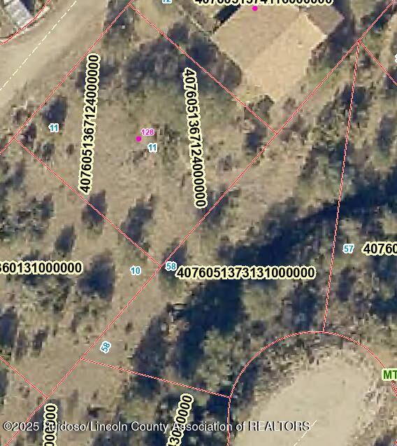 201 Rockridge Drive, Capitan, New Mexico image 4
