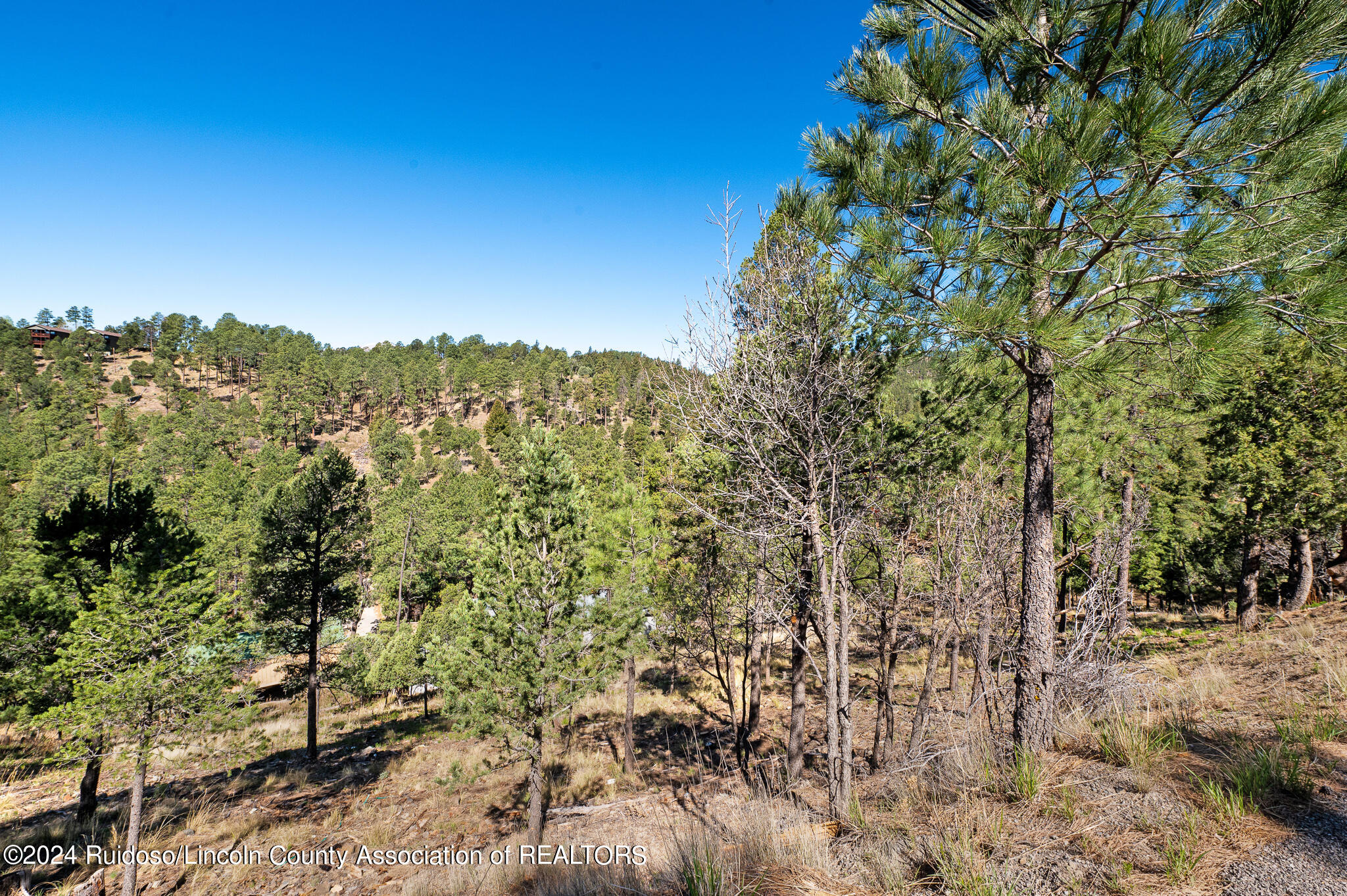 115 Sandia Road, Ruidoso, New Mexico image 2