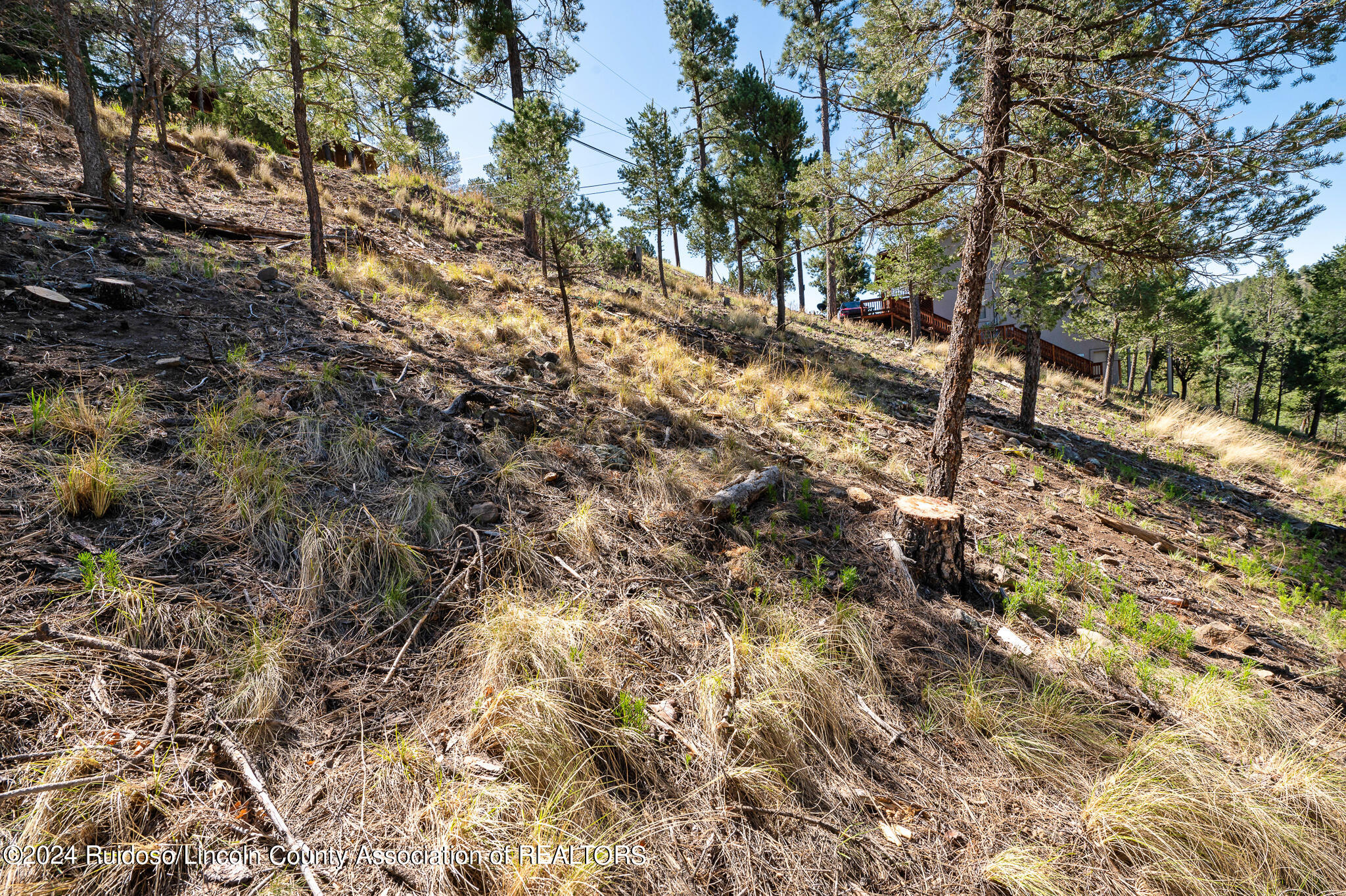 115 Sandia Road, Ruidoso, New Mexico image 10