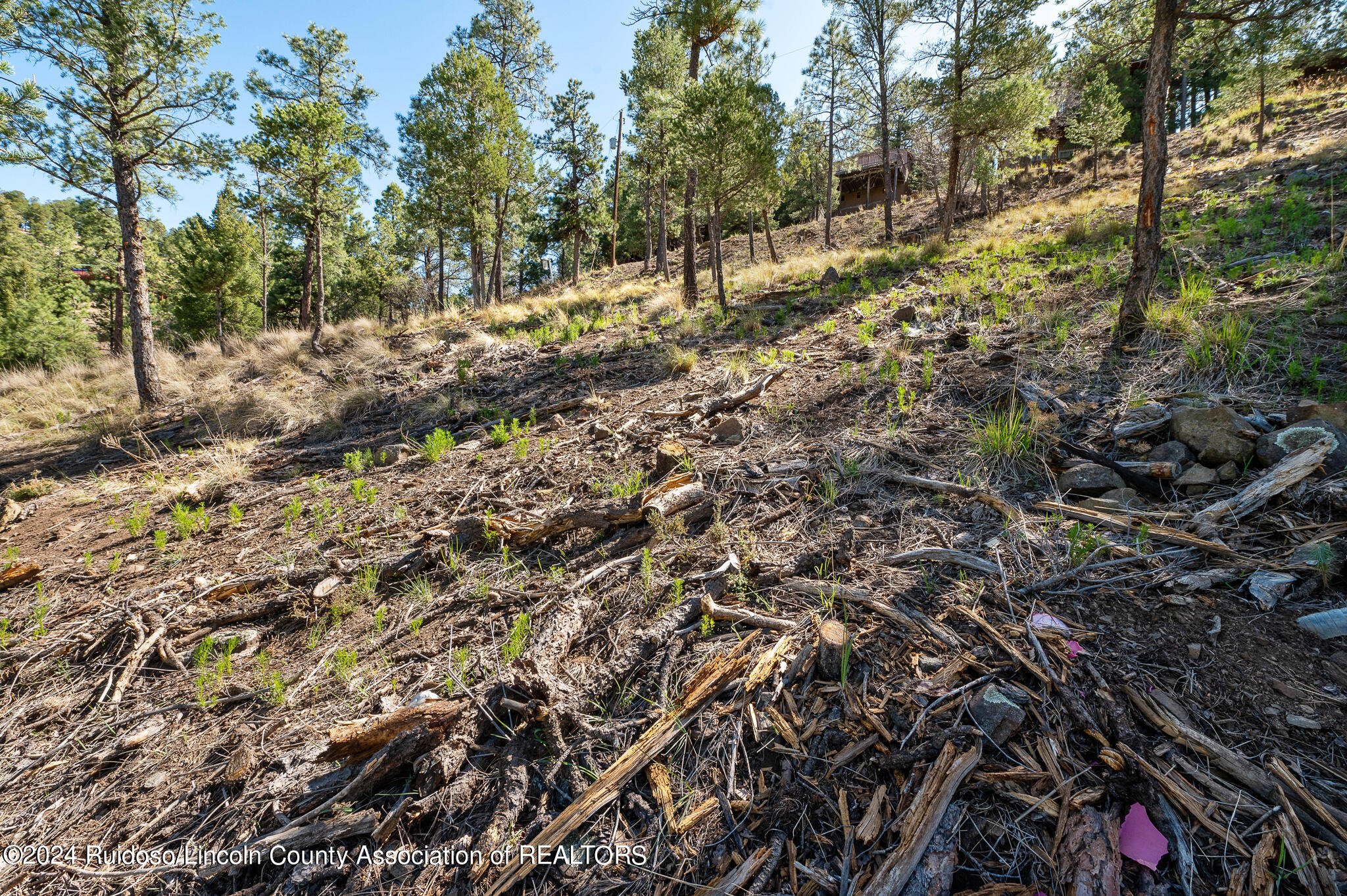 115 Sandia Road, Ruidoso, New Mexico image 7