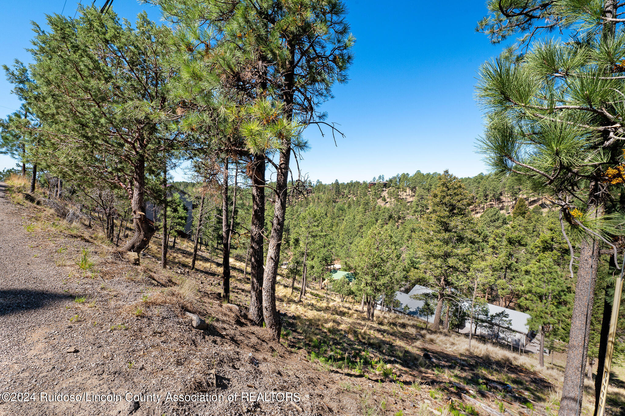 115 Sandia Road, Ruidoso, New Mexico image 1